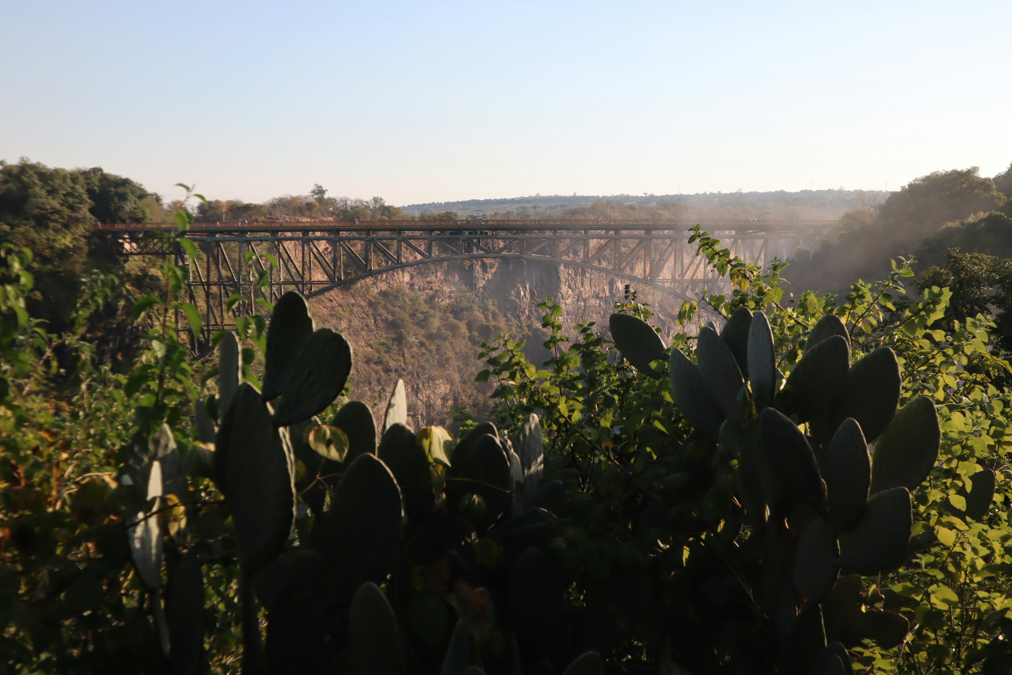 Vue d'un pont au-dessus d'un canyon entouré de cactus verts