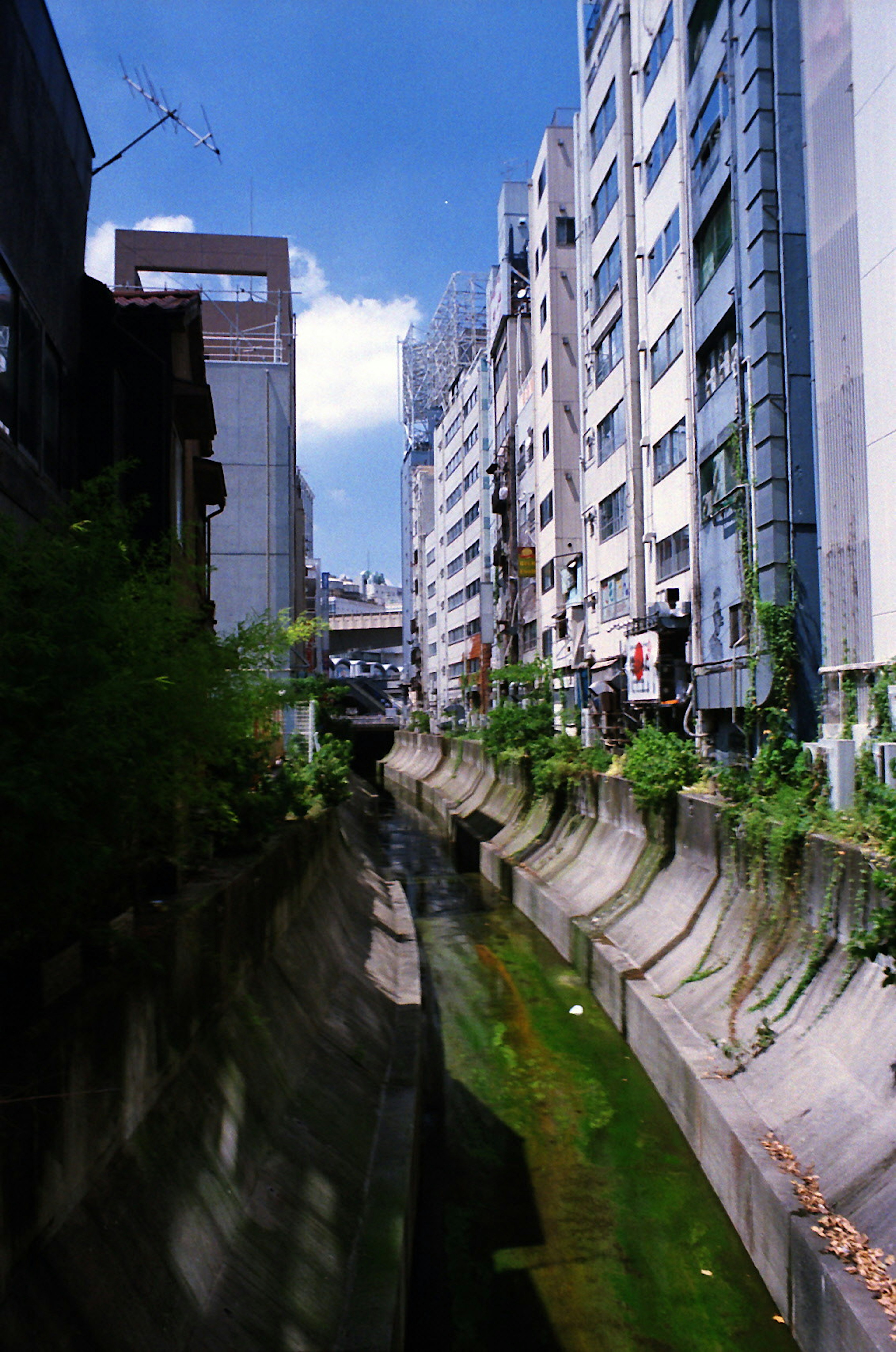 Vista di un canale urbano con alti edifici e vegetazione lussureggiante