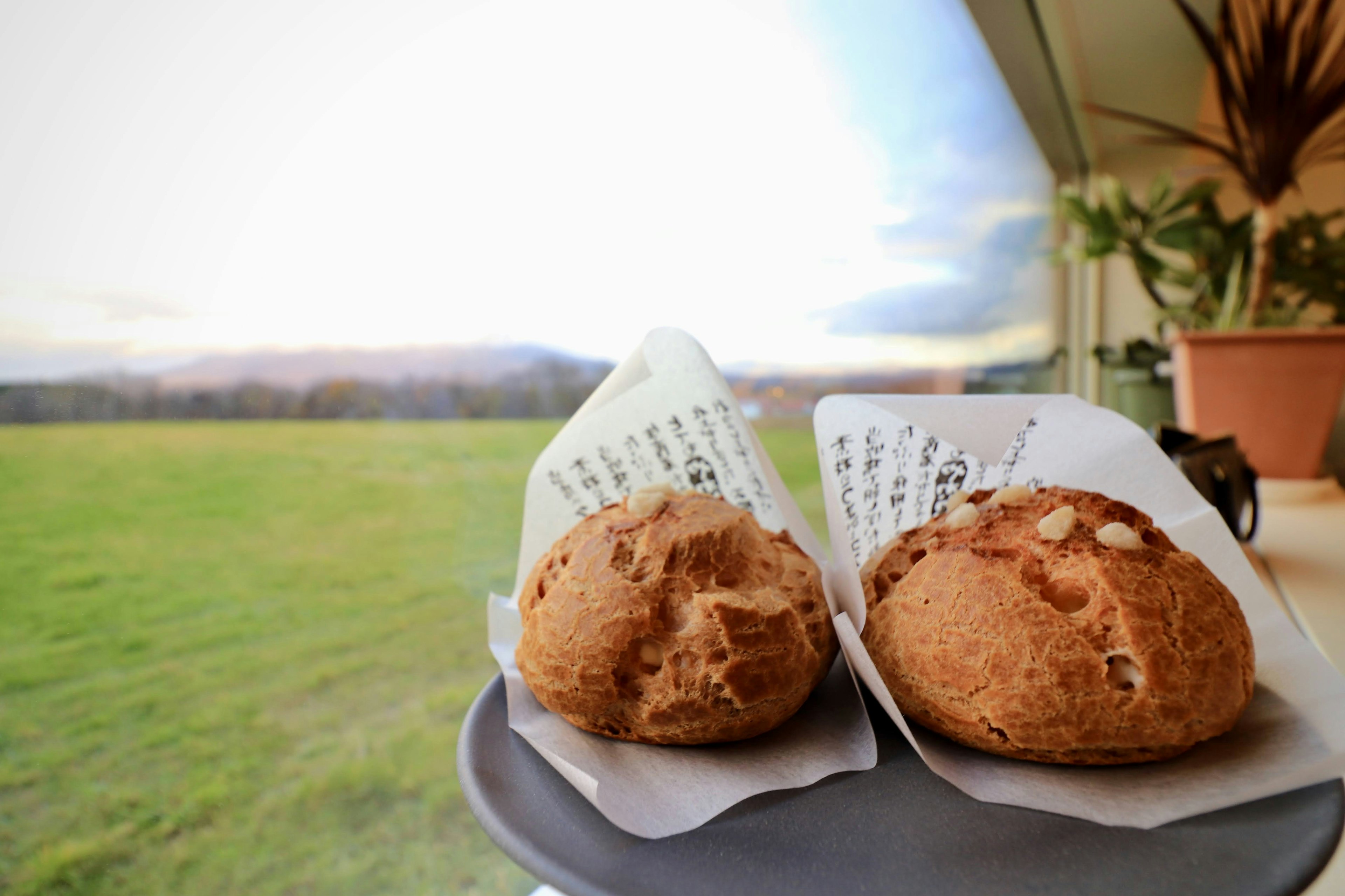 Dos panes en un plato con vista a un campo verde y cielo al fondo