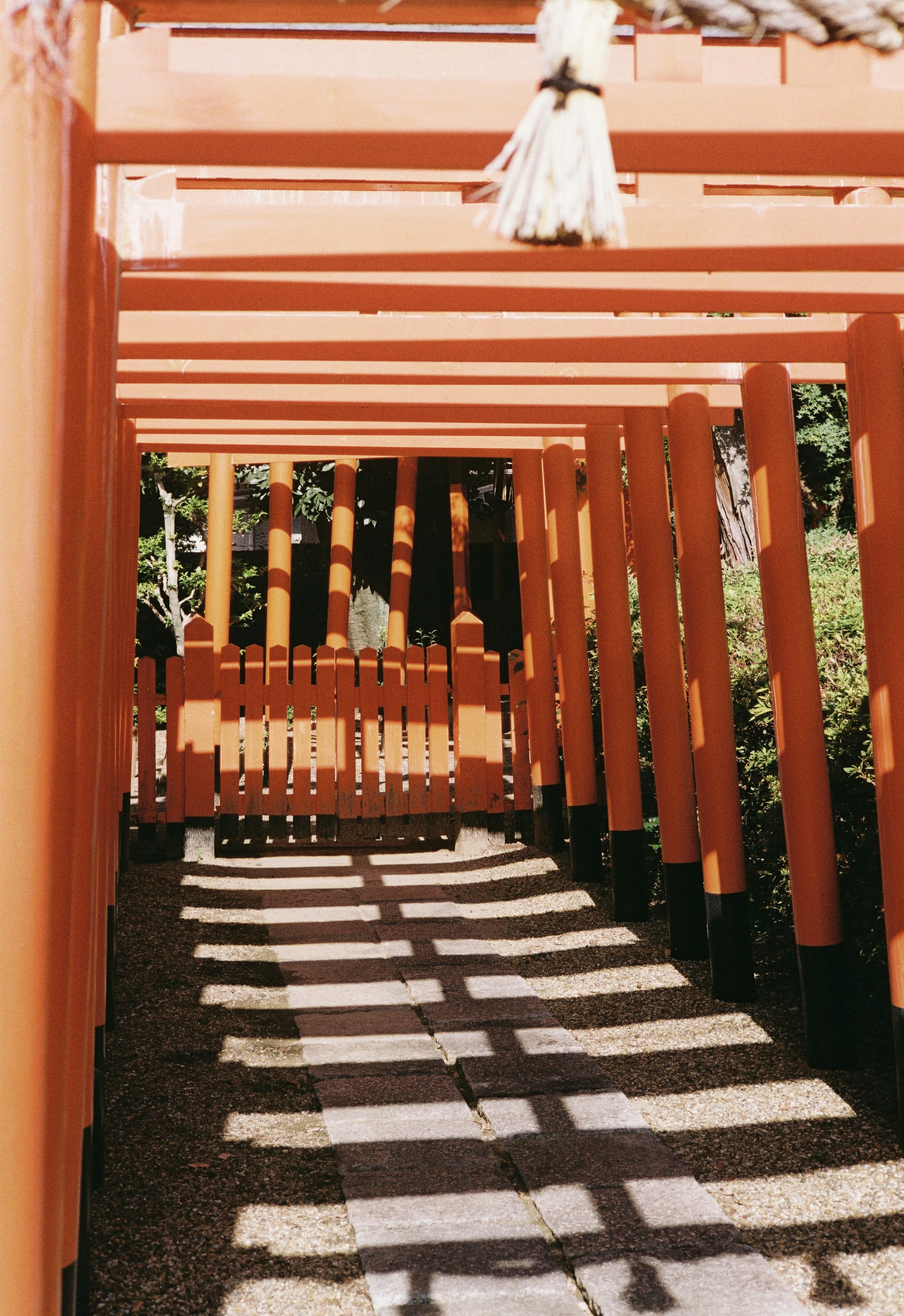 Contraste de luz y sombra a través de las puertas torii rojas