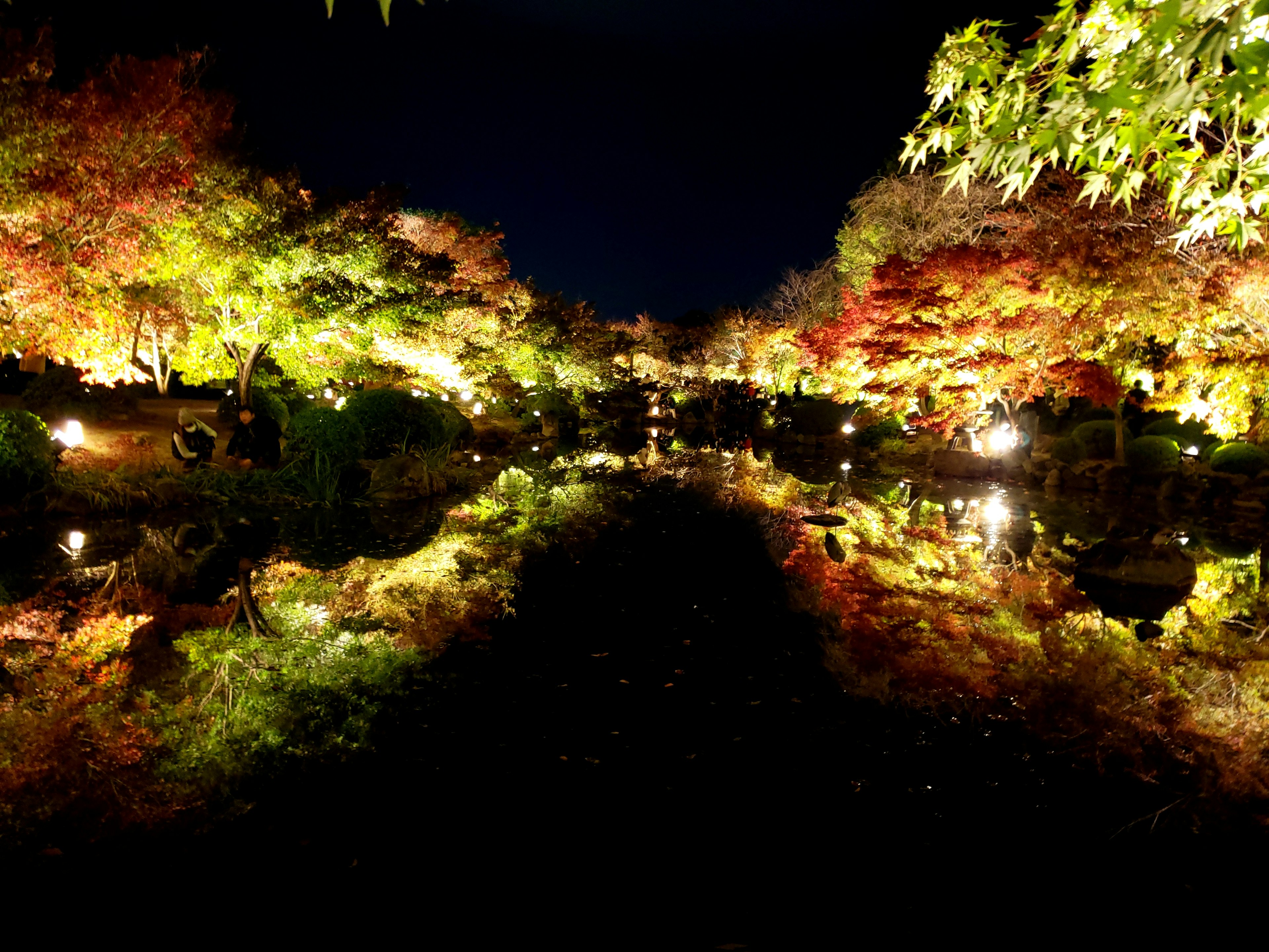 Night view of a park with colorful autumn leaves and reflections in water