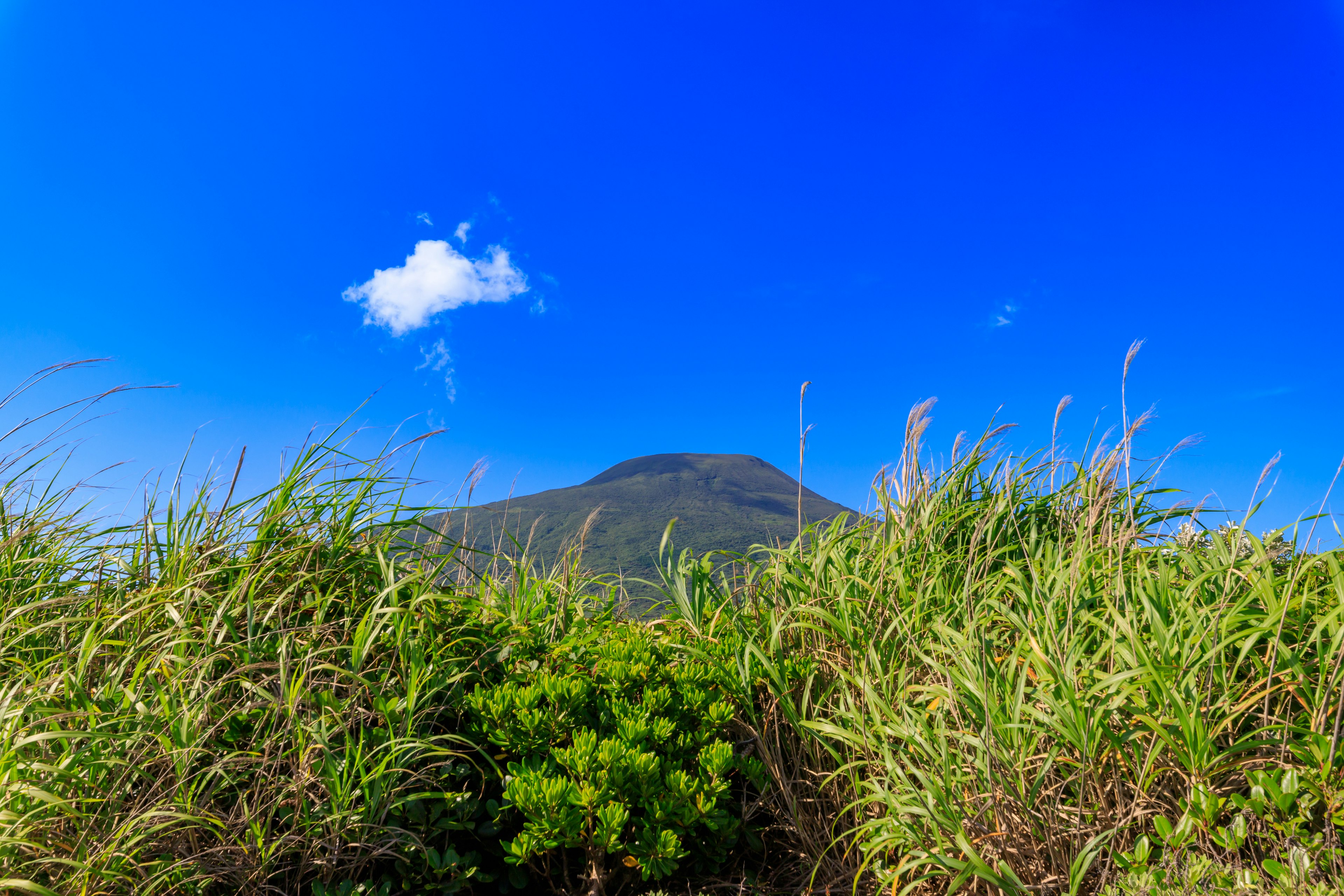 Pemandangan gunung dengan rumput subur dan langit biru yang cerah