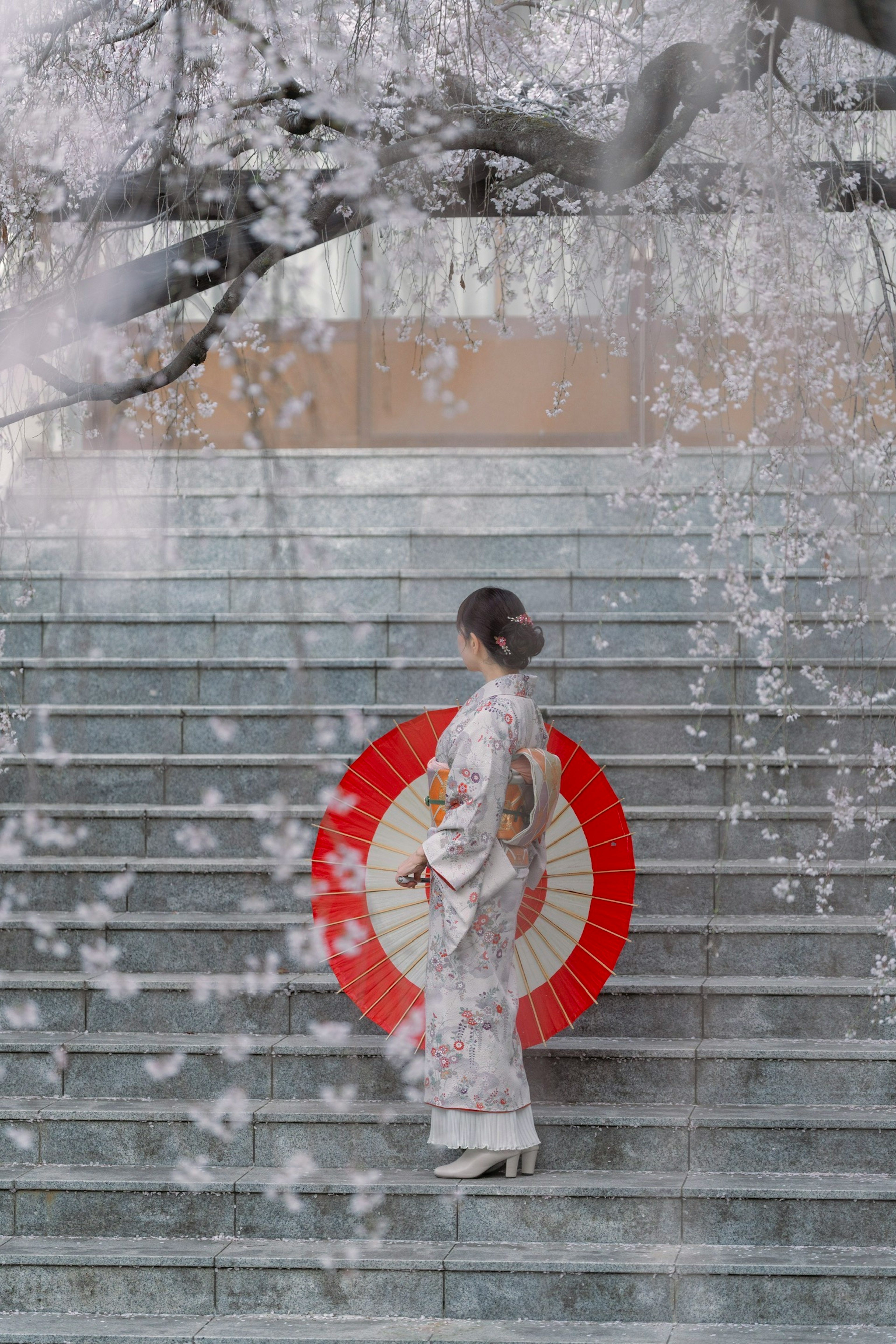 Một người phụ nữ trong kimono trắng cầm ô đỏ đứng trên cầu thang dưới cây anh đào
