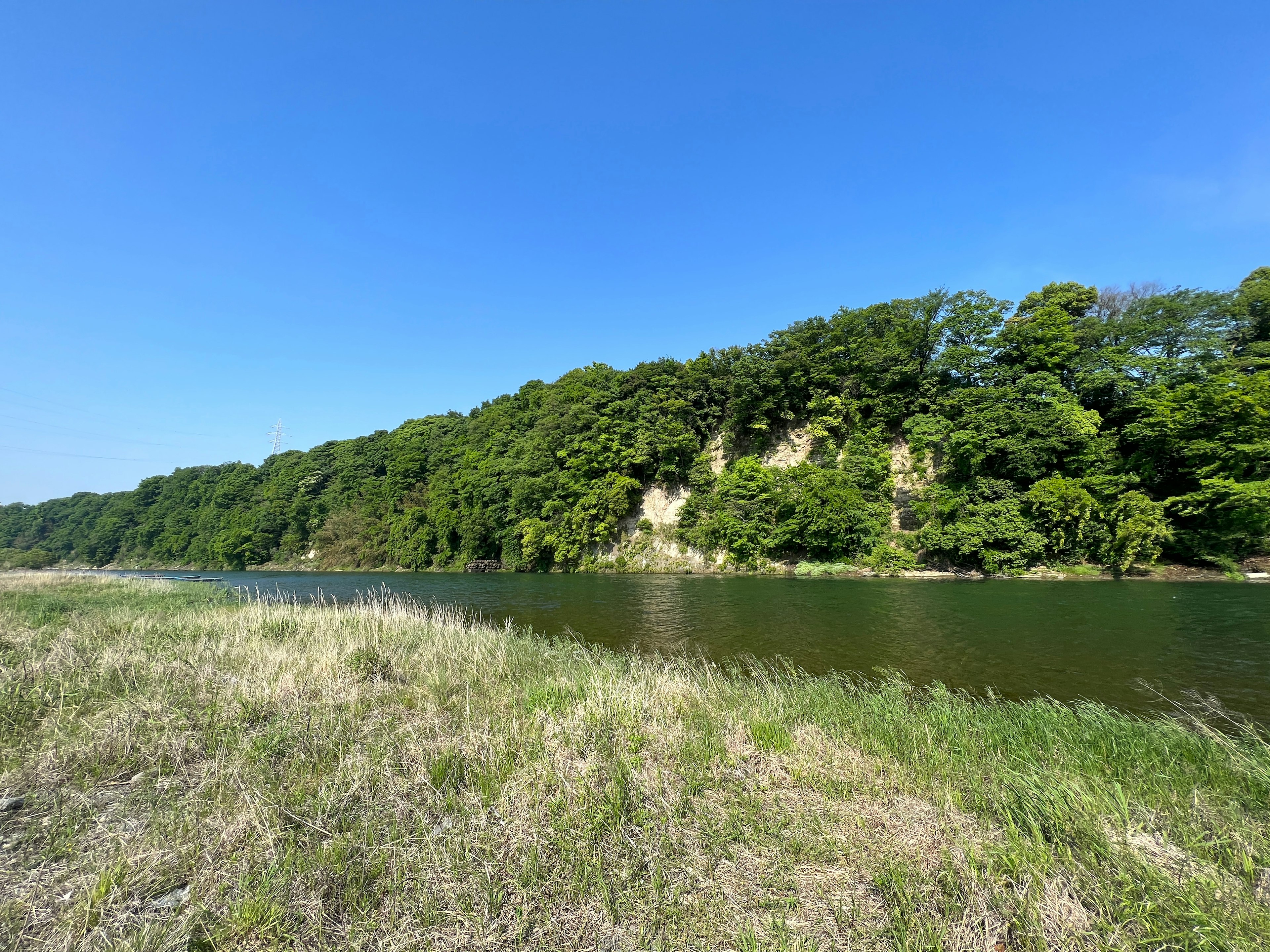 Ruhige Flusslandschaft mit blauem Himmel und üppigen grünen Ufern