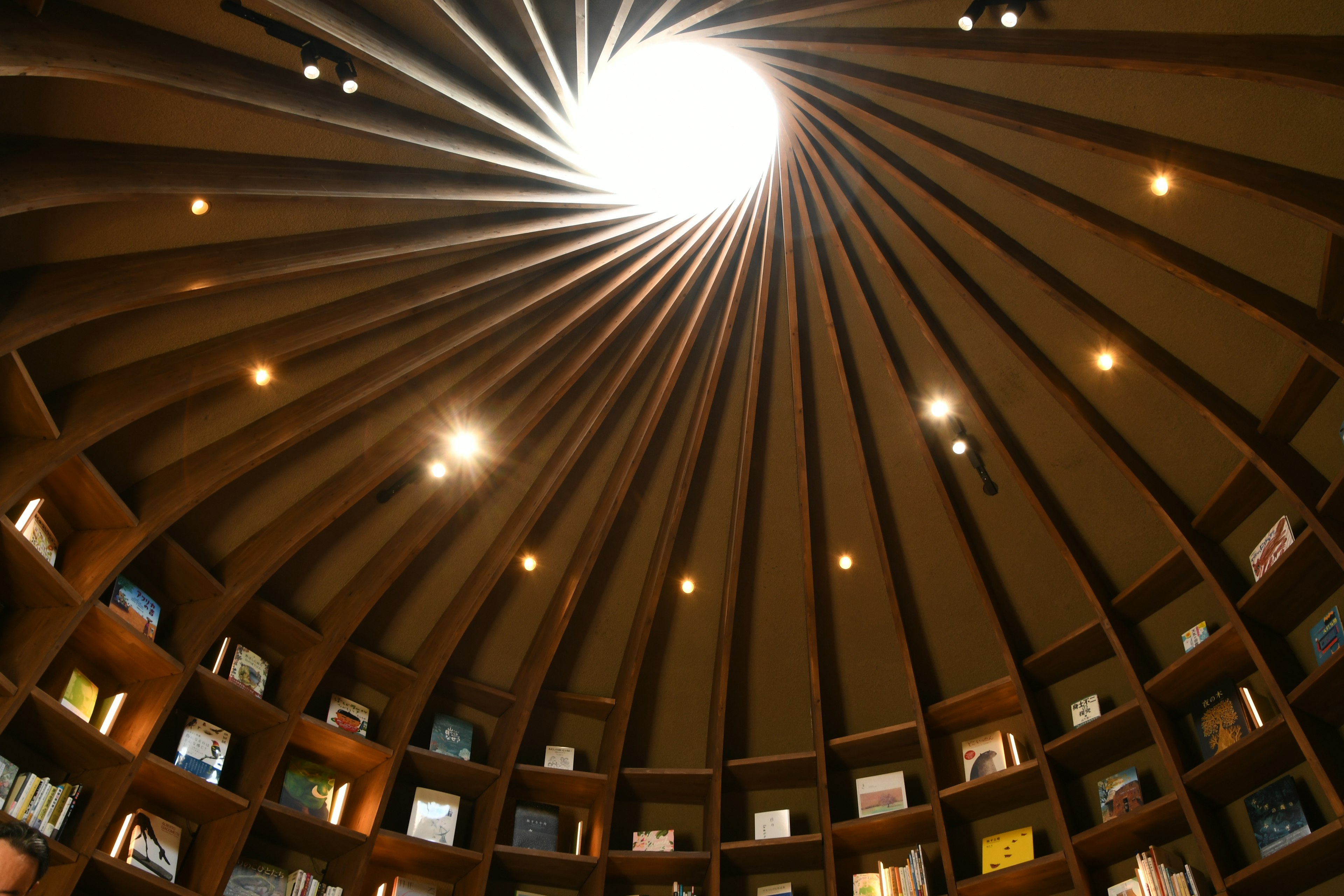 Interno di una biblioteca con un magnifico soffitto a cupola e luce naturale che entra