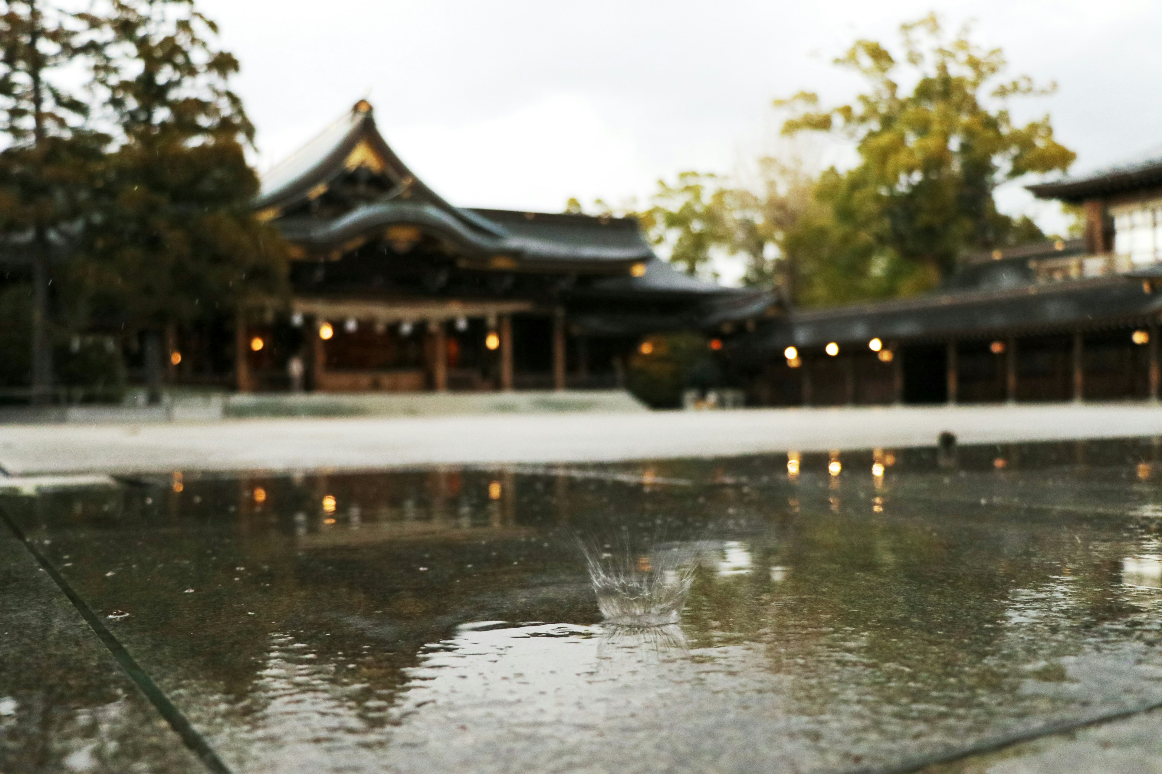 雨に濡れた石畳の前にある美しい神社の建物