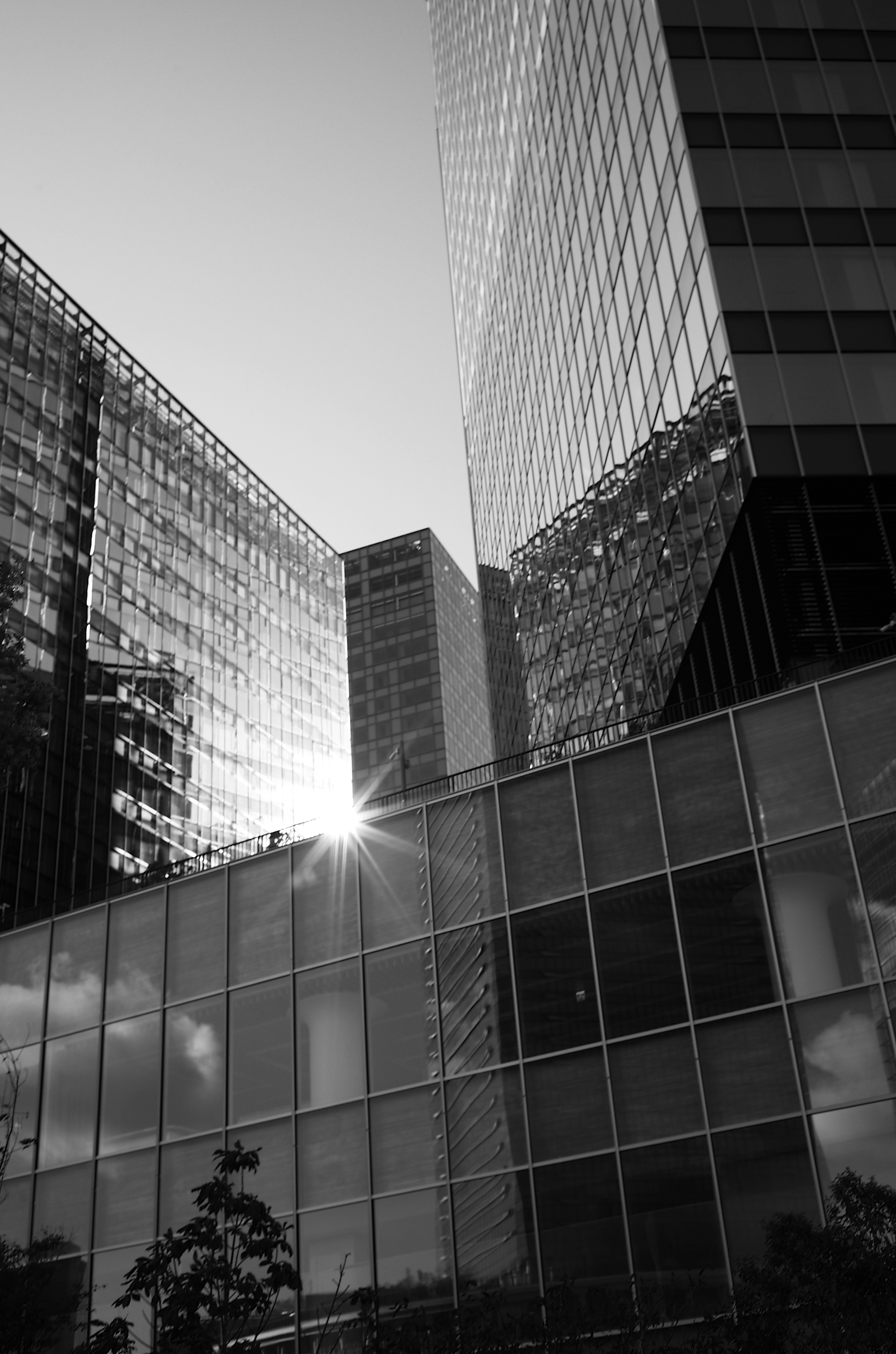 Fotografía en blanco y negro de edificios modernos con reflejo de luz solar