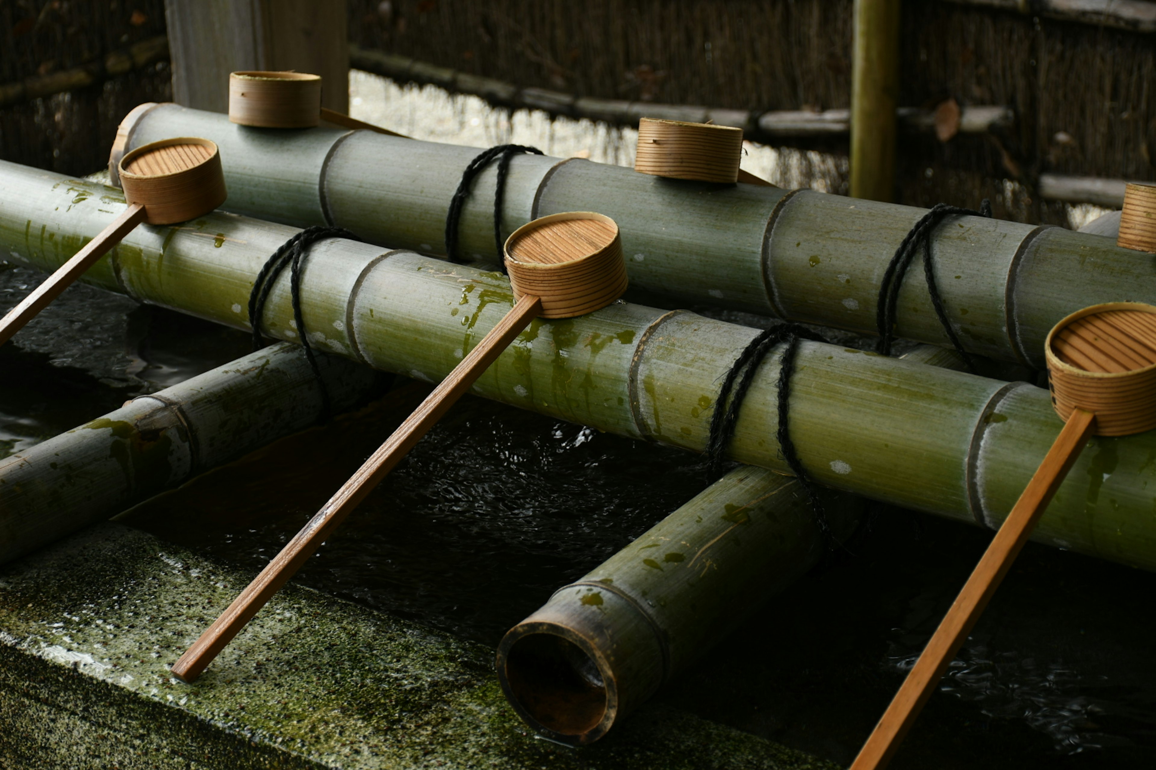 Bamboo water vessels arranged in a serene setting