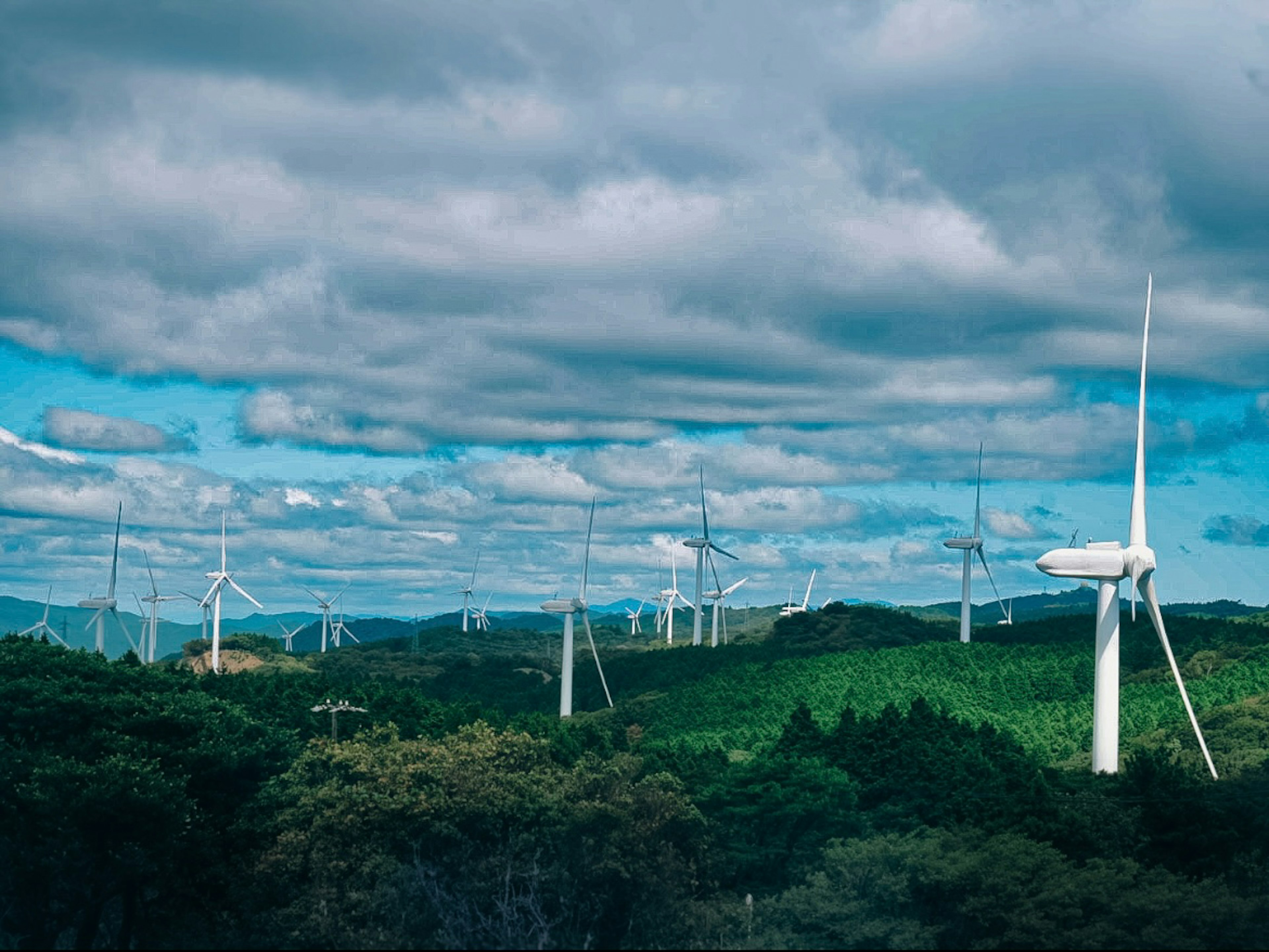 風力発電機が立ち並ぶ緑豊かな丘と青空