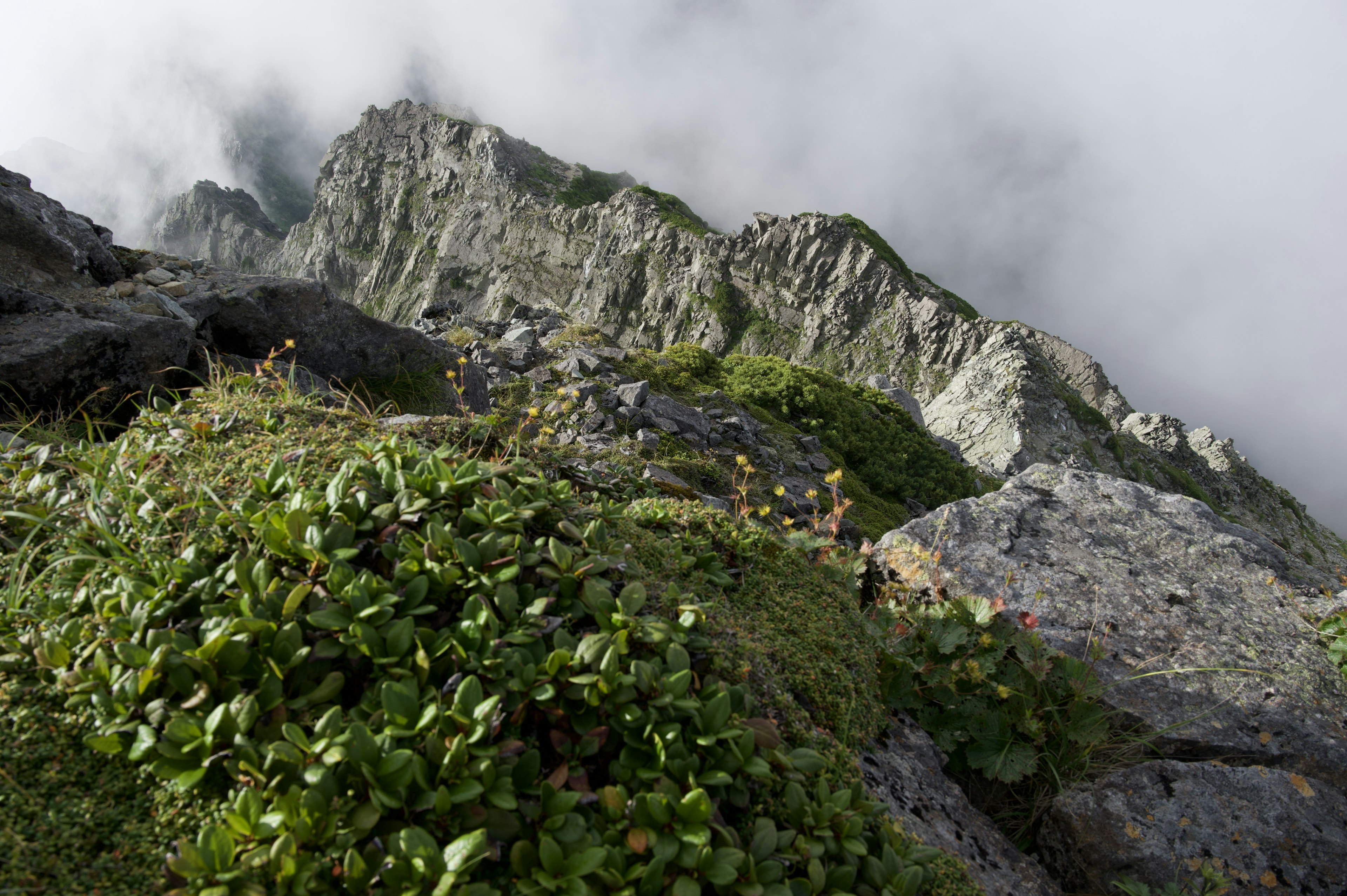 Nahaufnahme einer felsigen Klippe mit Grün und Wolken