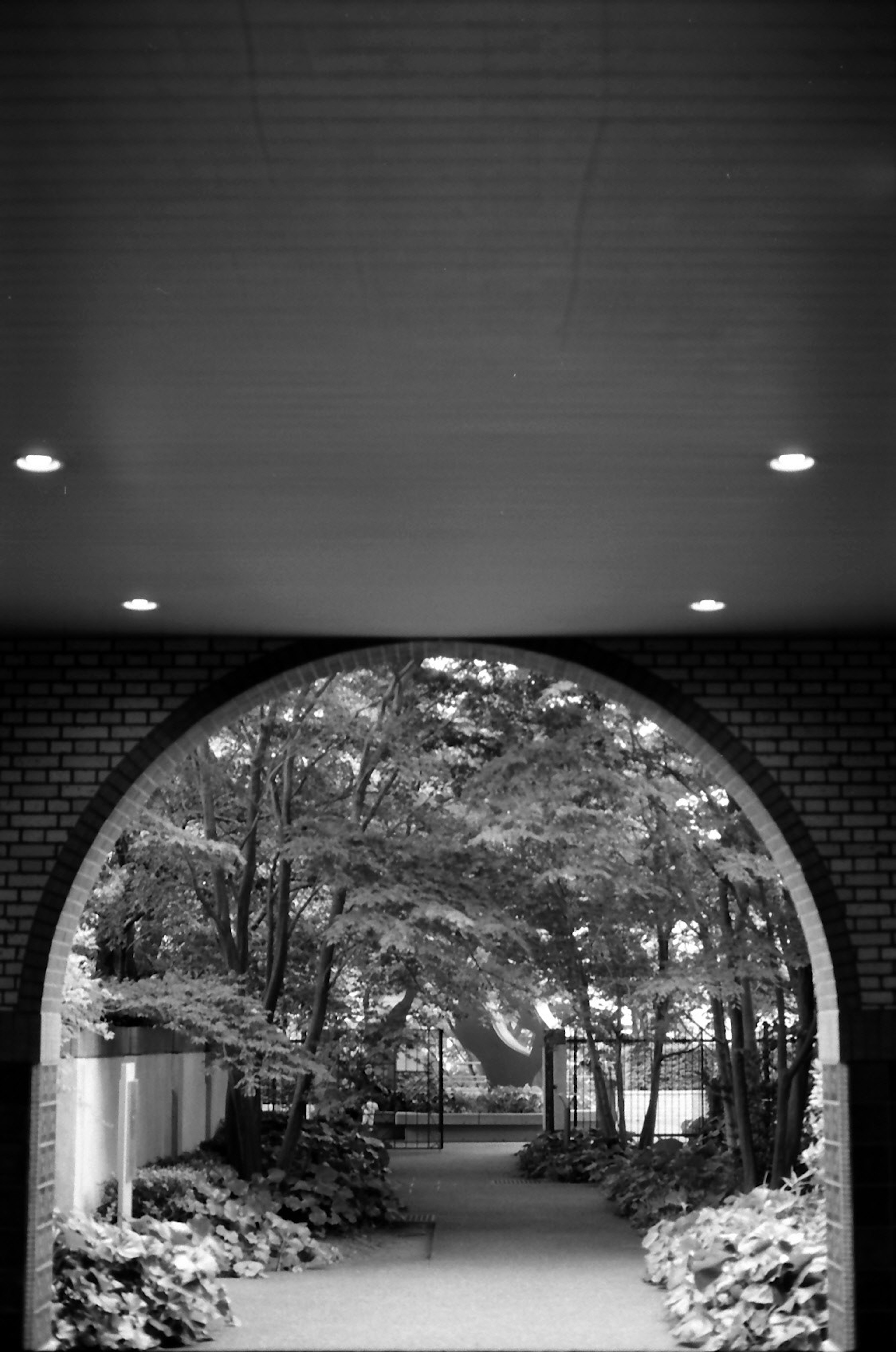 Archway leading to a lush pathway and trees