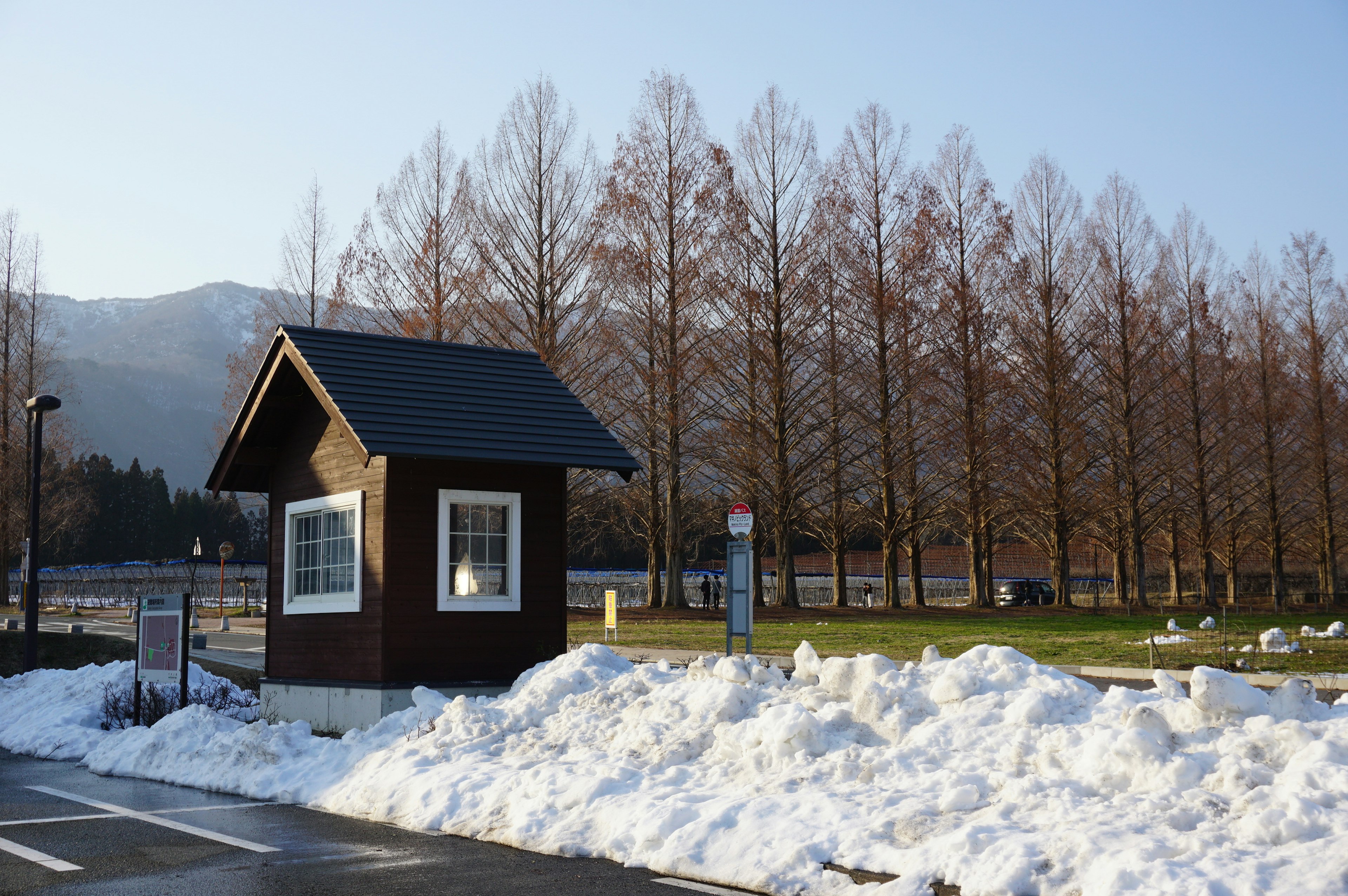 Small cabin with a black roof surrounded by snow and tall trees