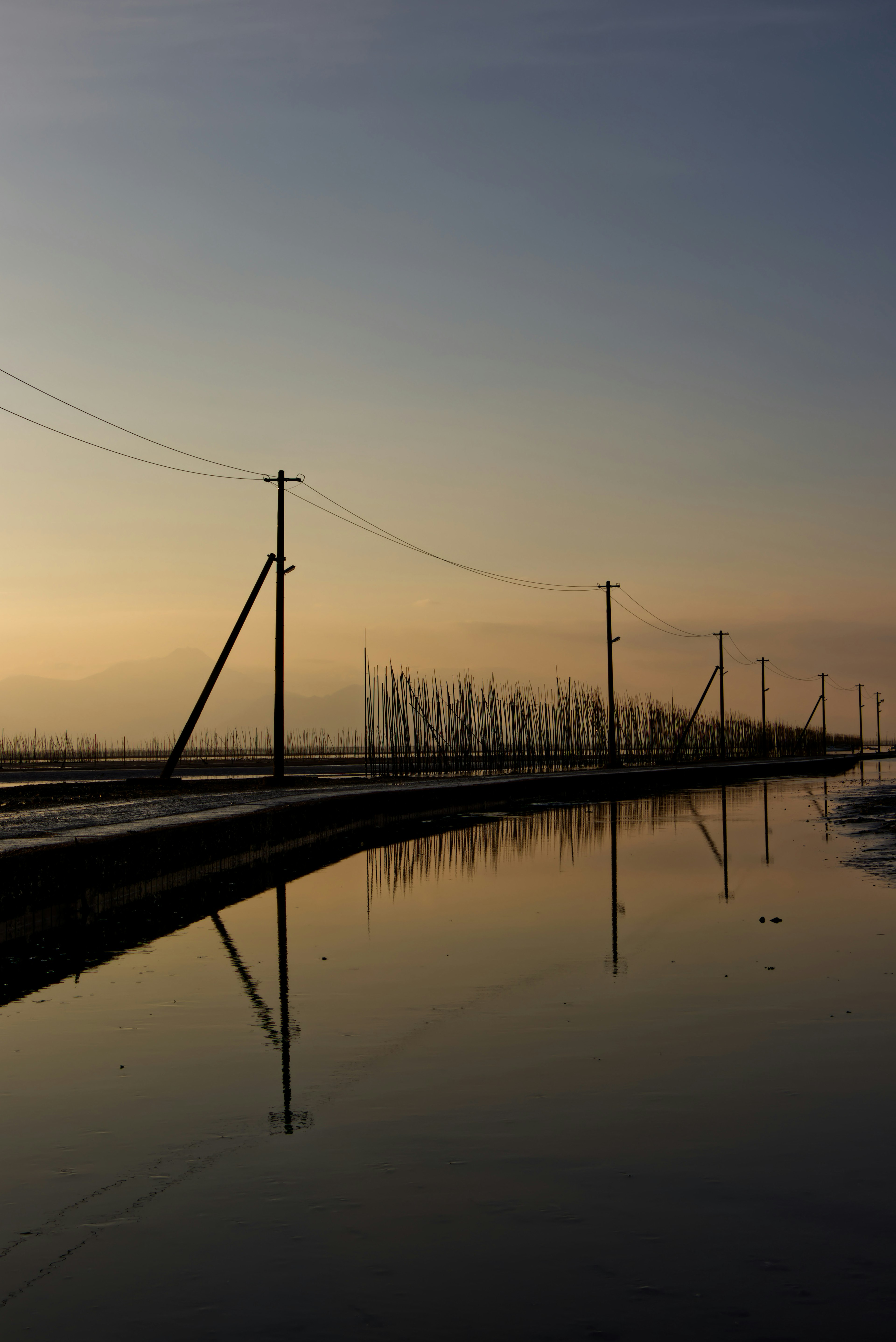 Ruhige Landschaft mit Strommasten, die sich im ruhigen Wasser spiegeln