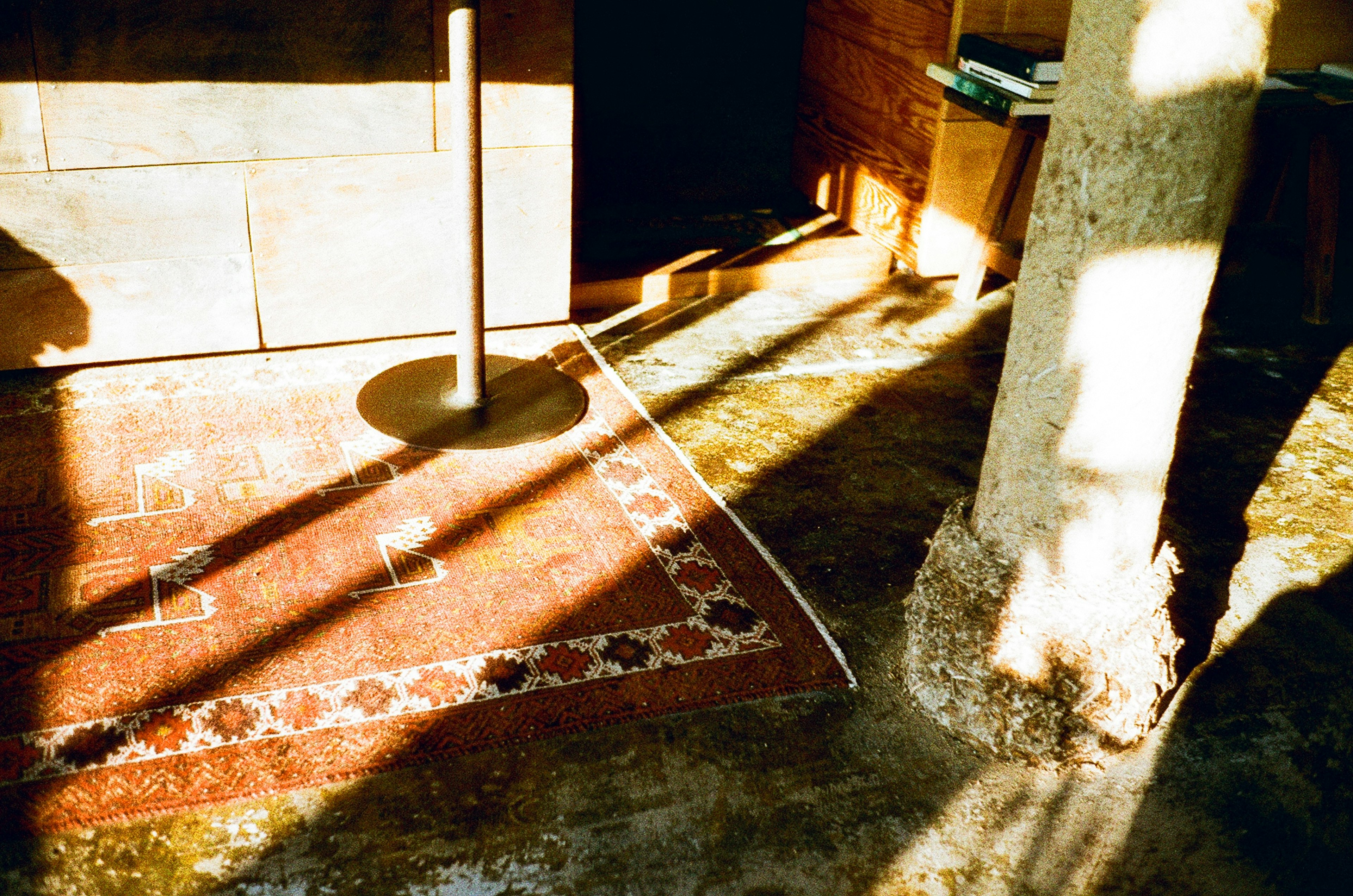 A room with a red patterned carpet illuminated by sunlight