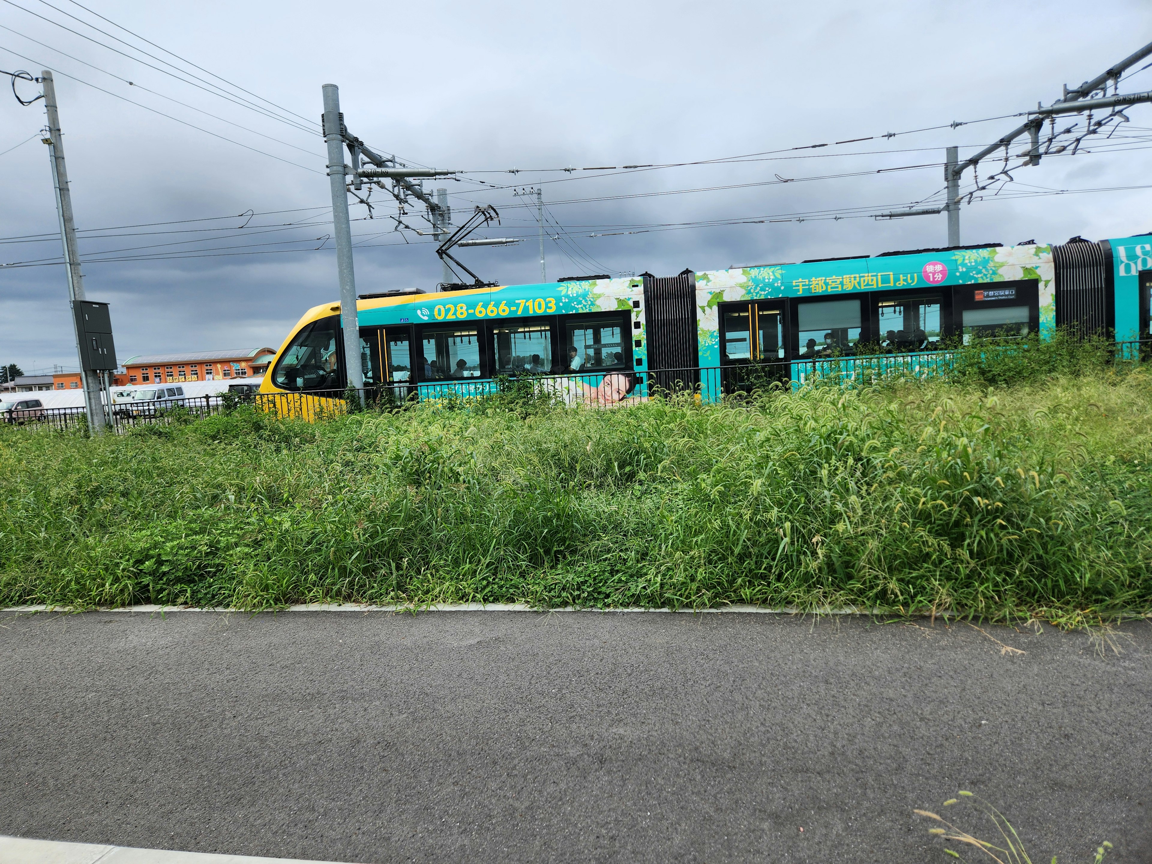 Tren colorido rodeado de hierba verde en un entorno nublado