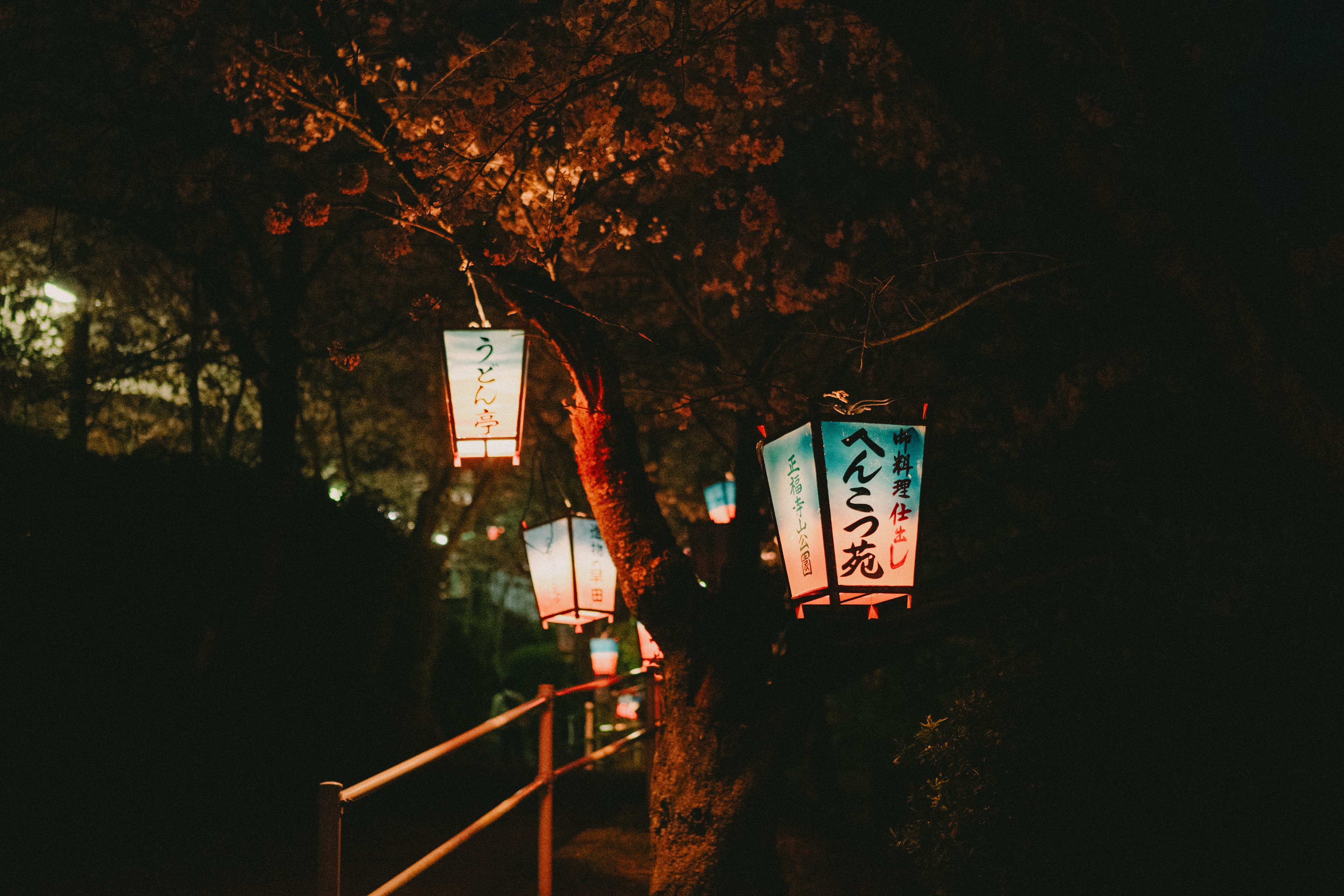 Lanterne illuminée suspendue dans un parc la nuit