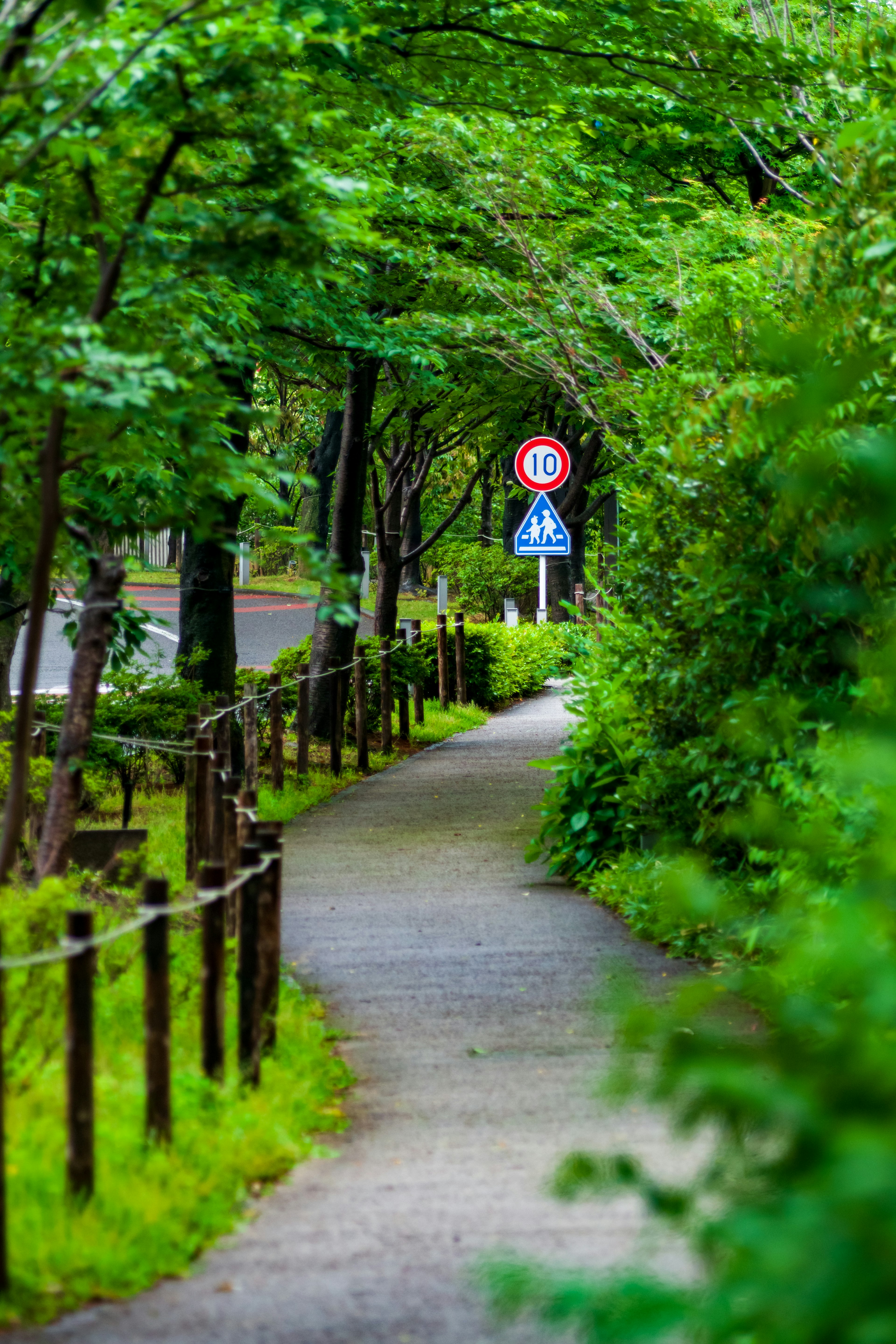 Chemin pavé entouré d'arbres verts et de panneaux de signalisation