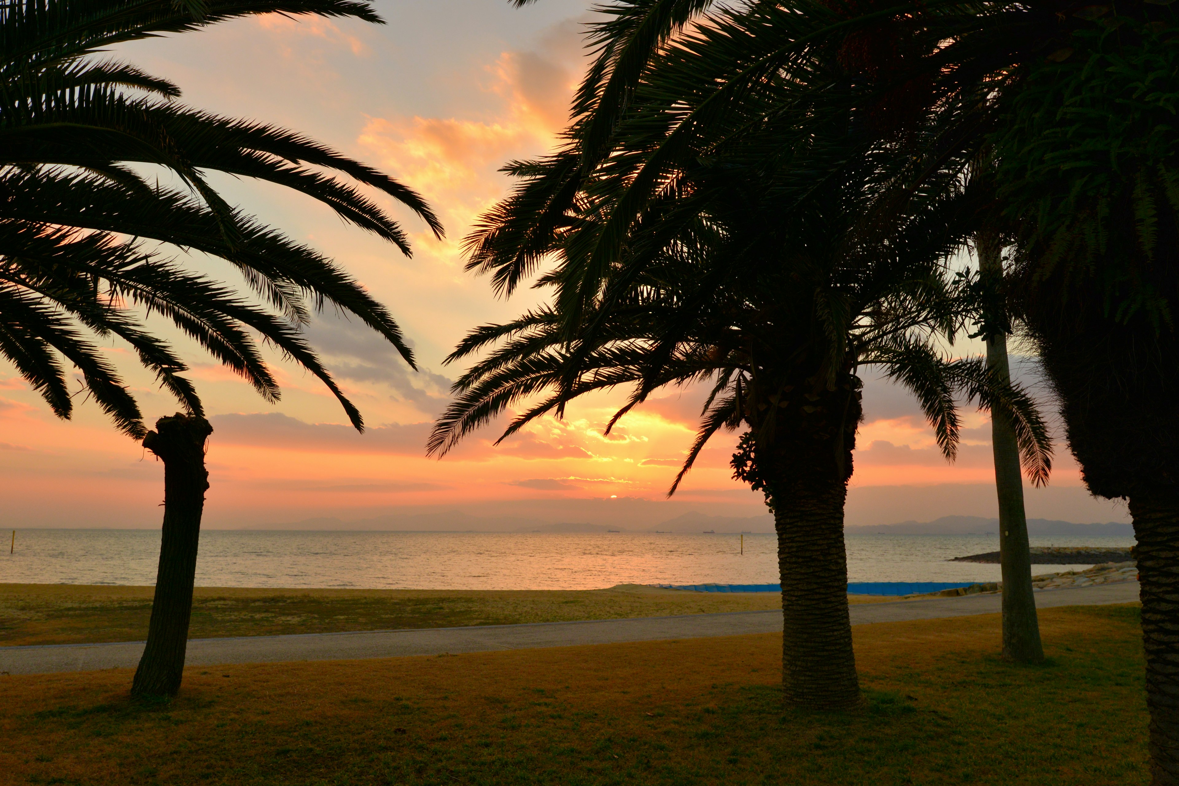 Sunset over the coastline with palm trees