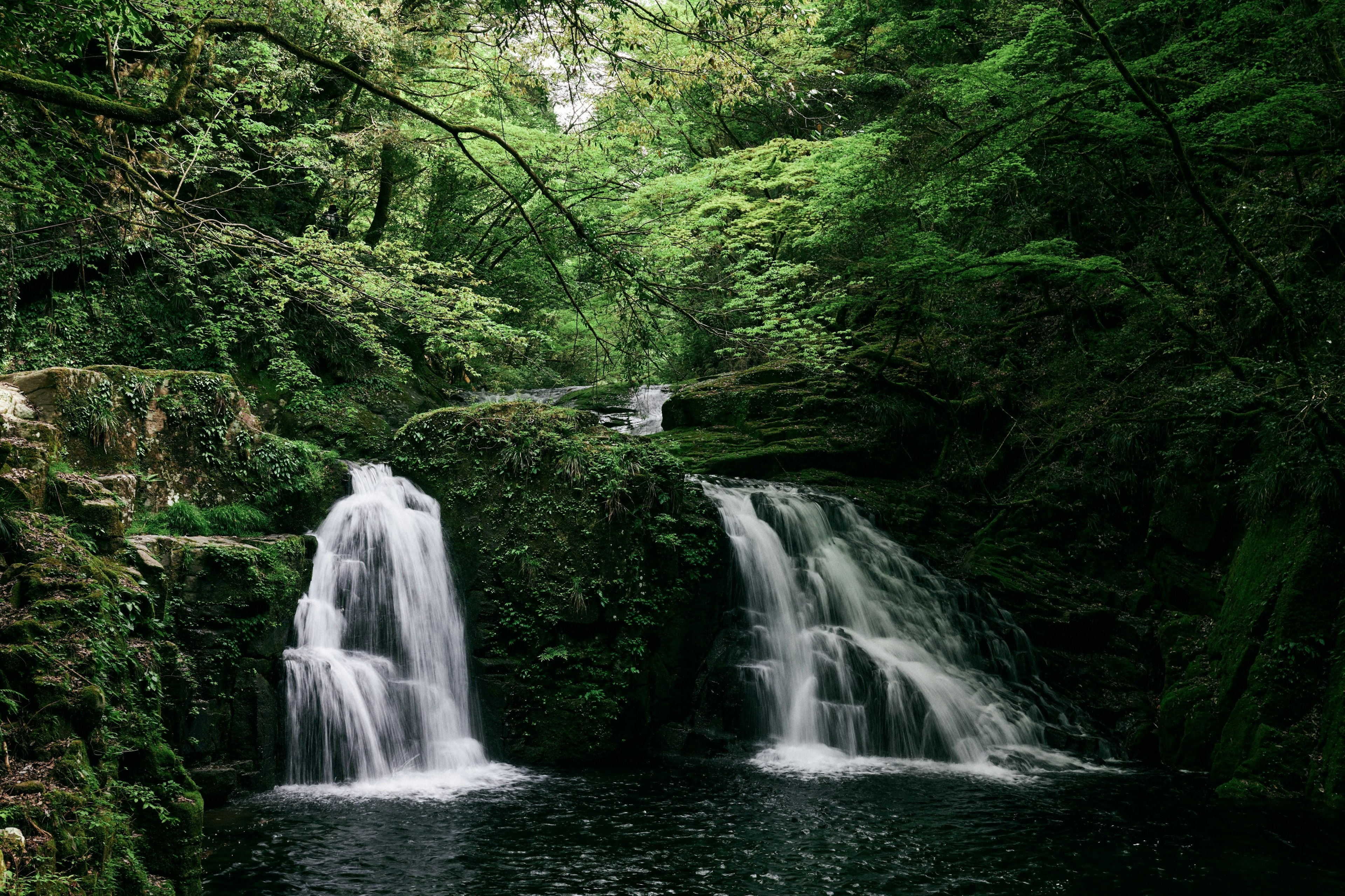 Dua air terjun mengalir ke kolam tenang dikelilingi hutan hijau subur