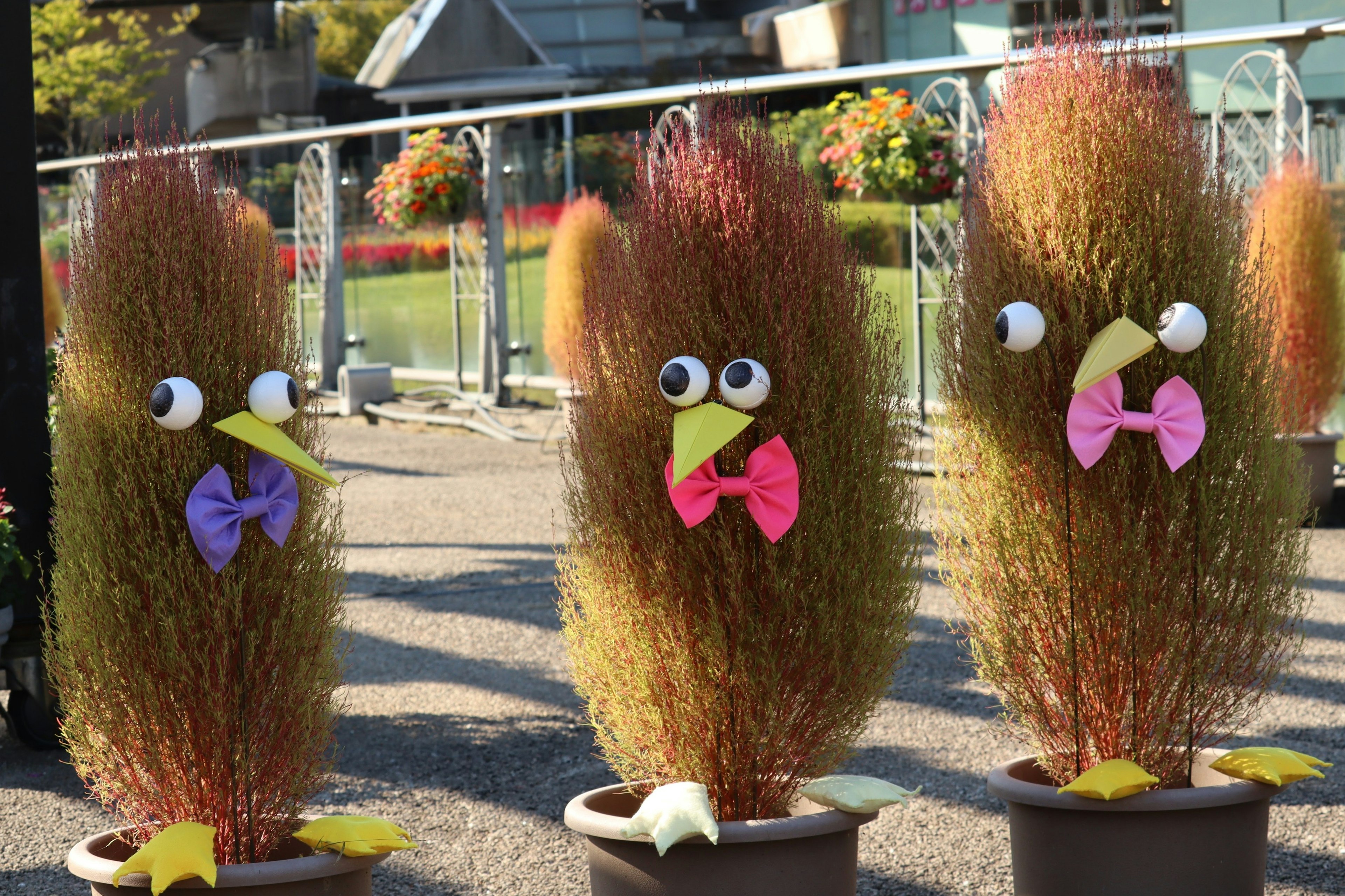 Three uniquely designed plants resembling cartoonish birds with colorful bows and googly eyes