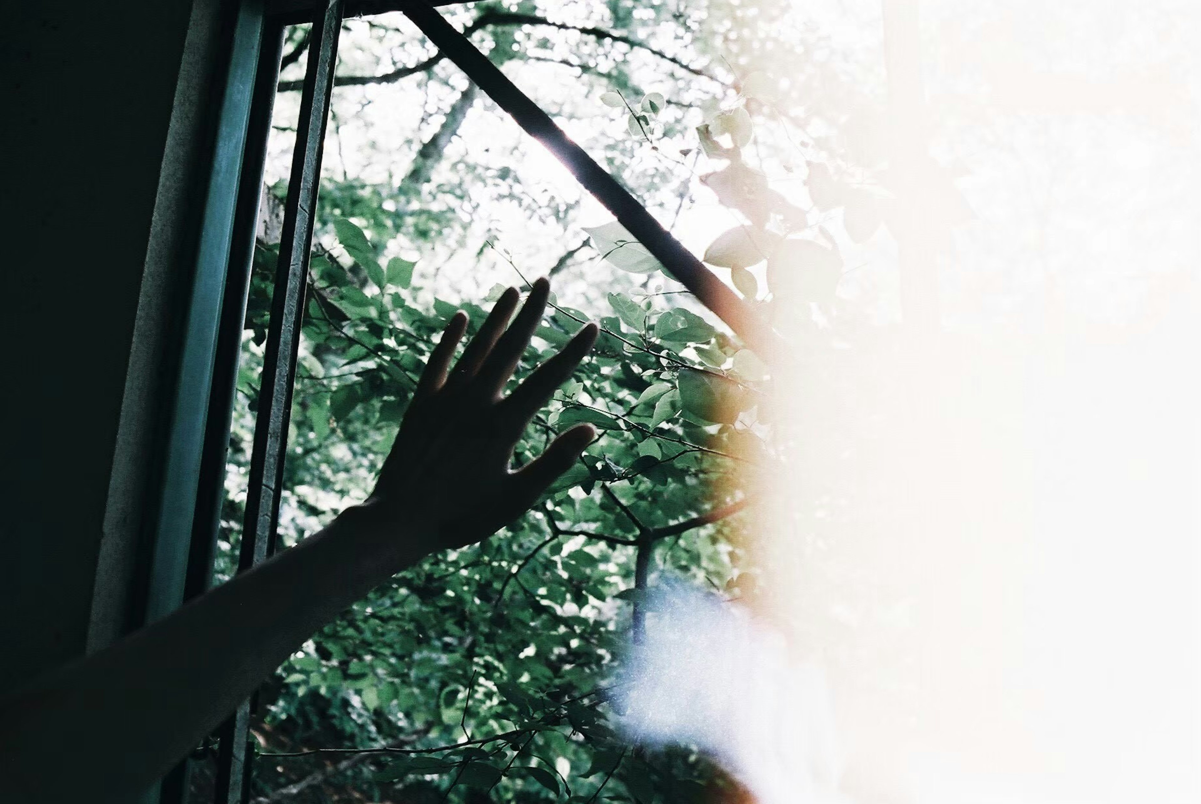 Silhouette einer Hand, die aus einem Fenster mit grünen Blättern nach draußen greift