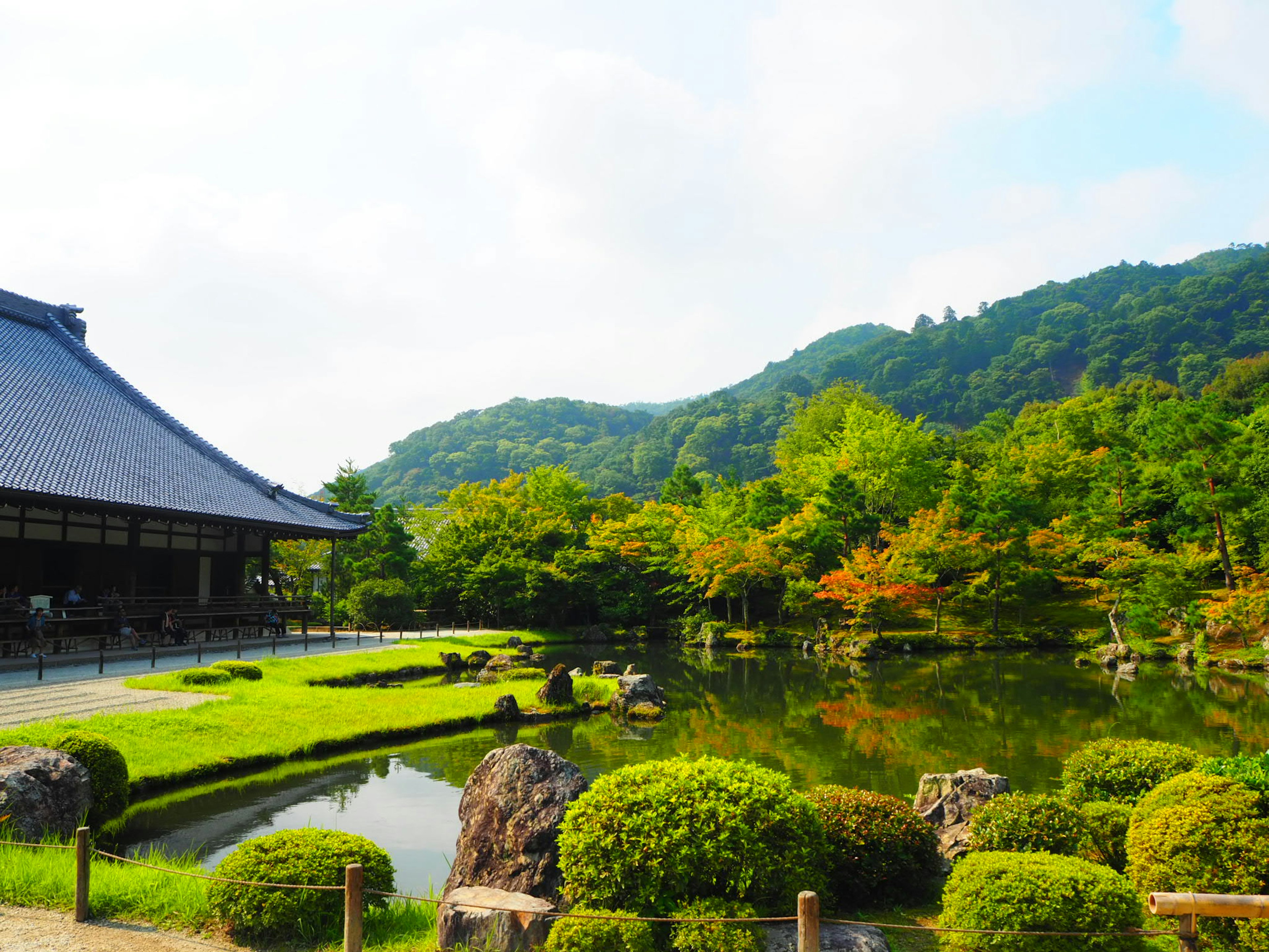 美丽的日本庭园景观 池塘被绿色植物和传统建筑环绕