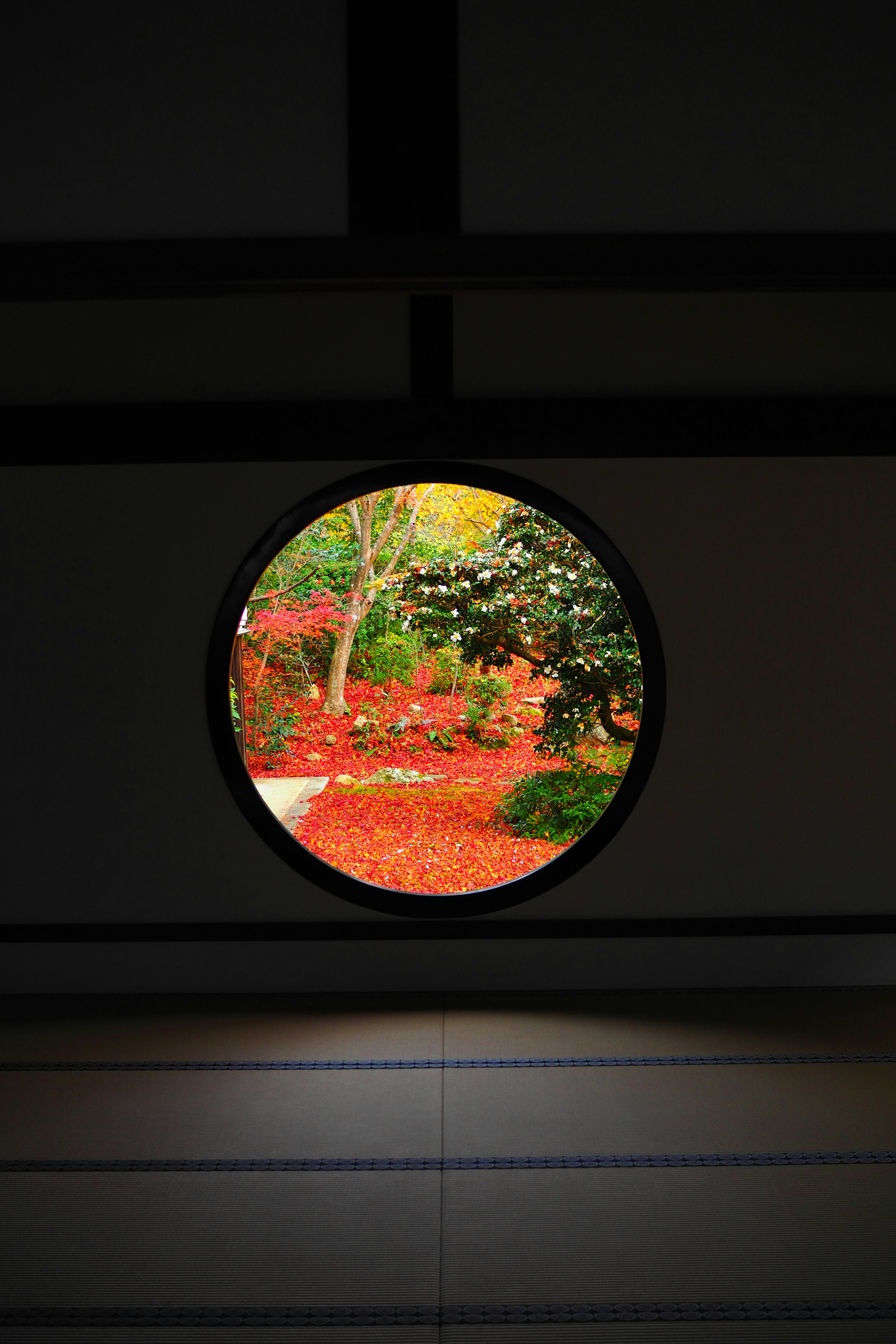 Vista de un jardín a través de una ventana circular colores de otoño vibrantes con hojas rojas y árboles verdes