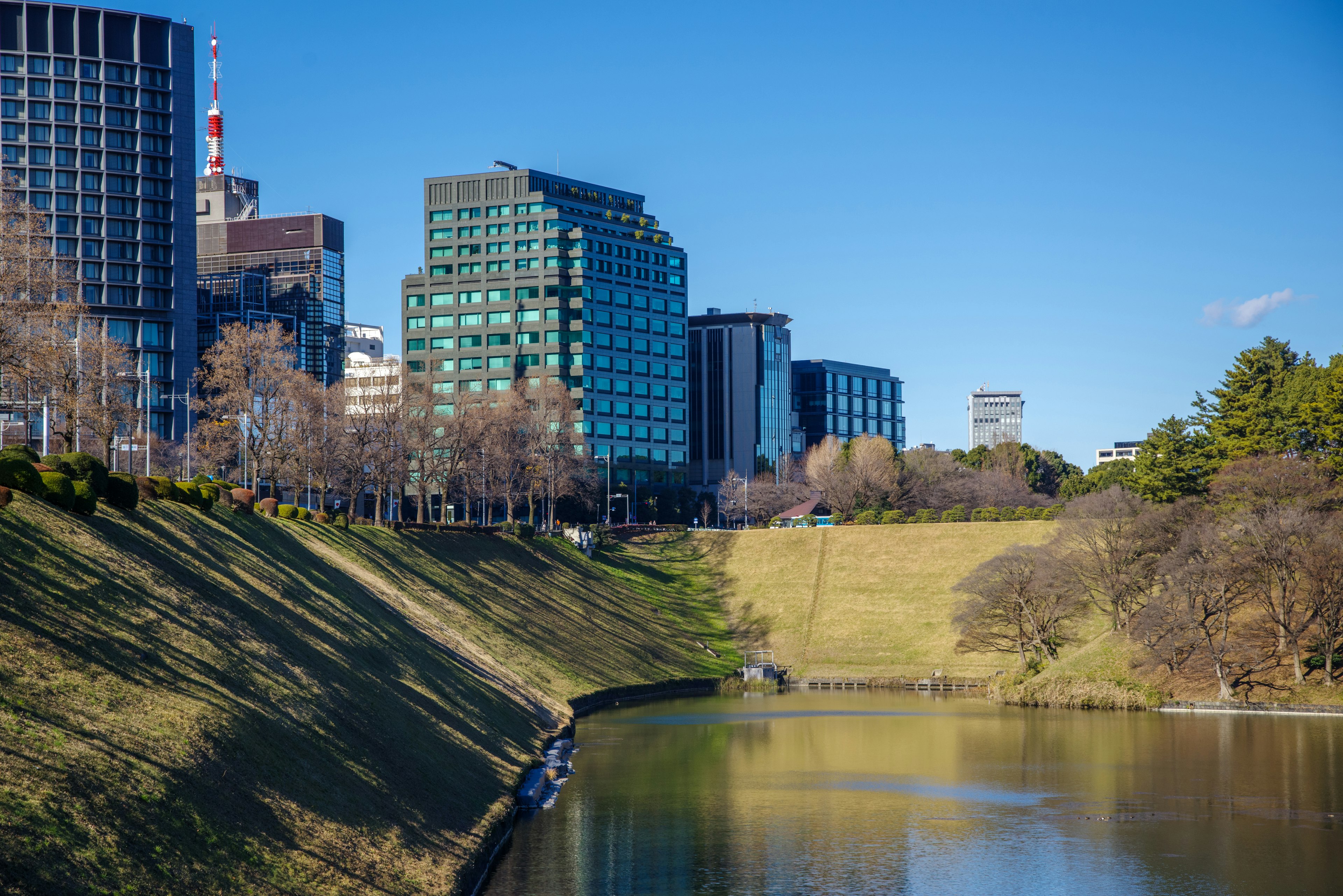 Vista del río con rascacielos y cielo azul