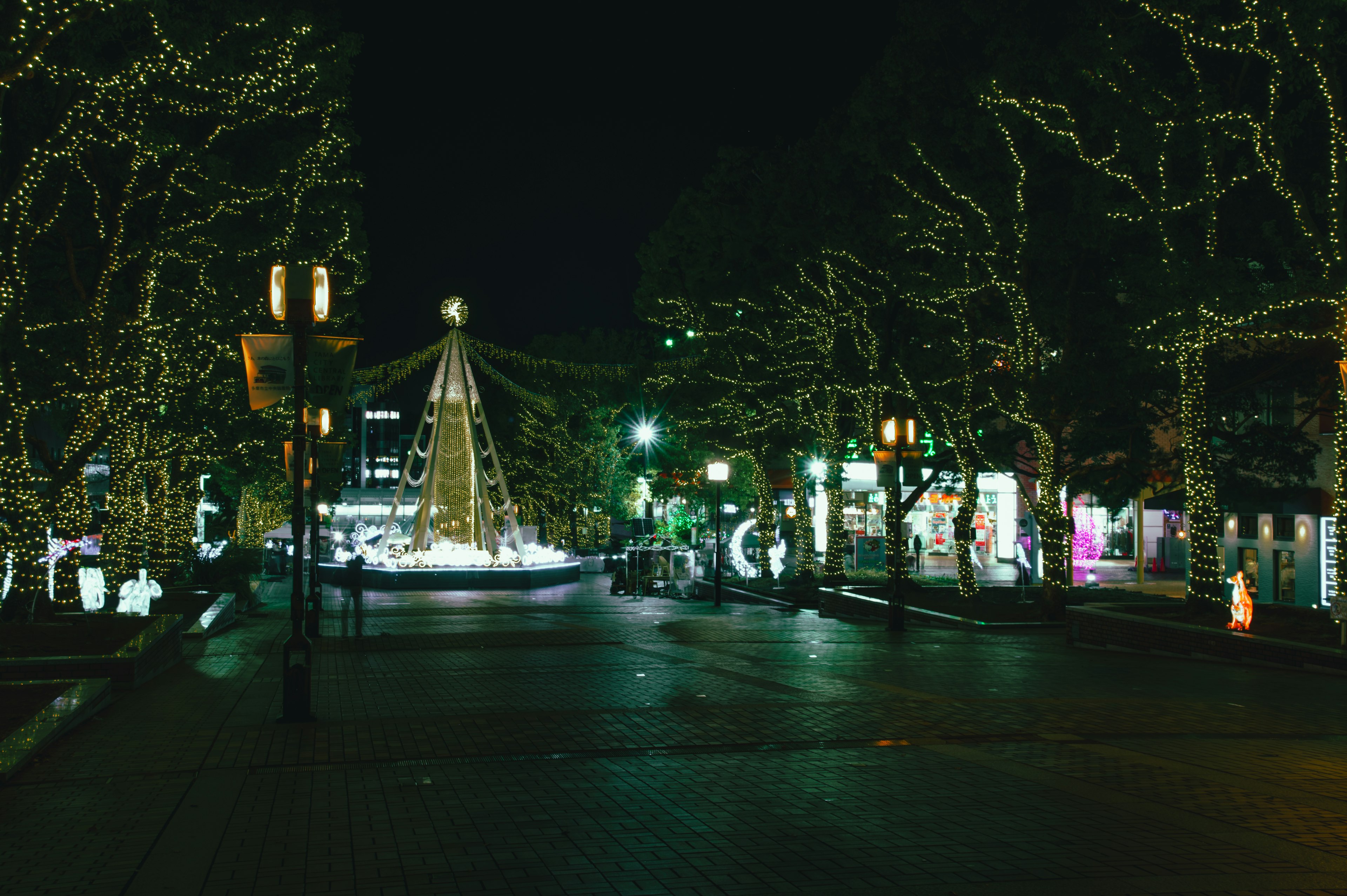 Arbre de Noël illuminé et lumières dans un parc la nuit