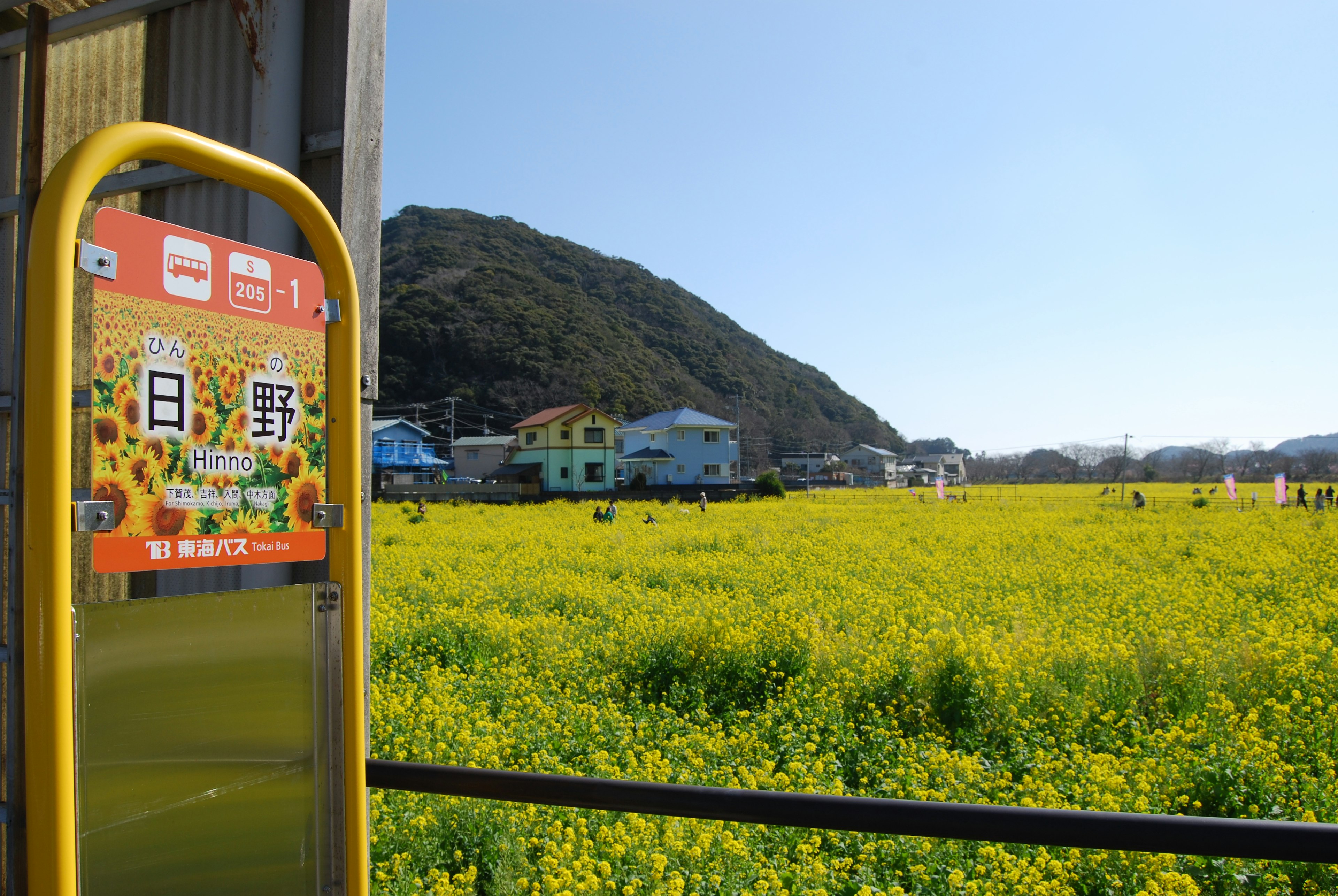 Vista panoramica di un campo di colza con un cartello della stazione