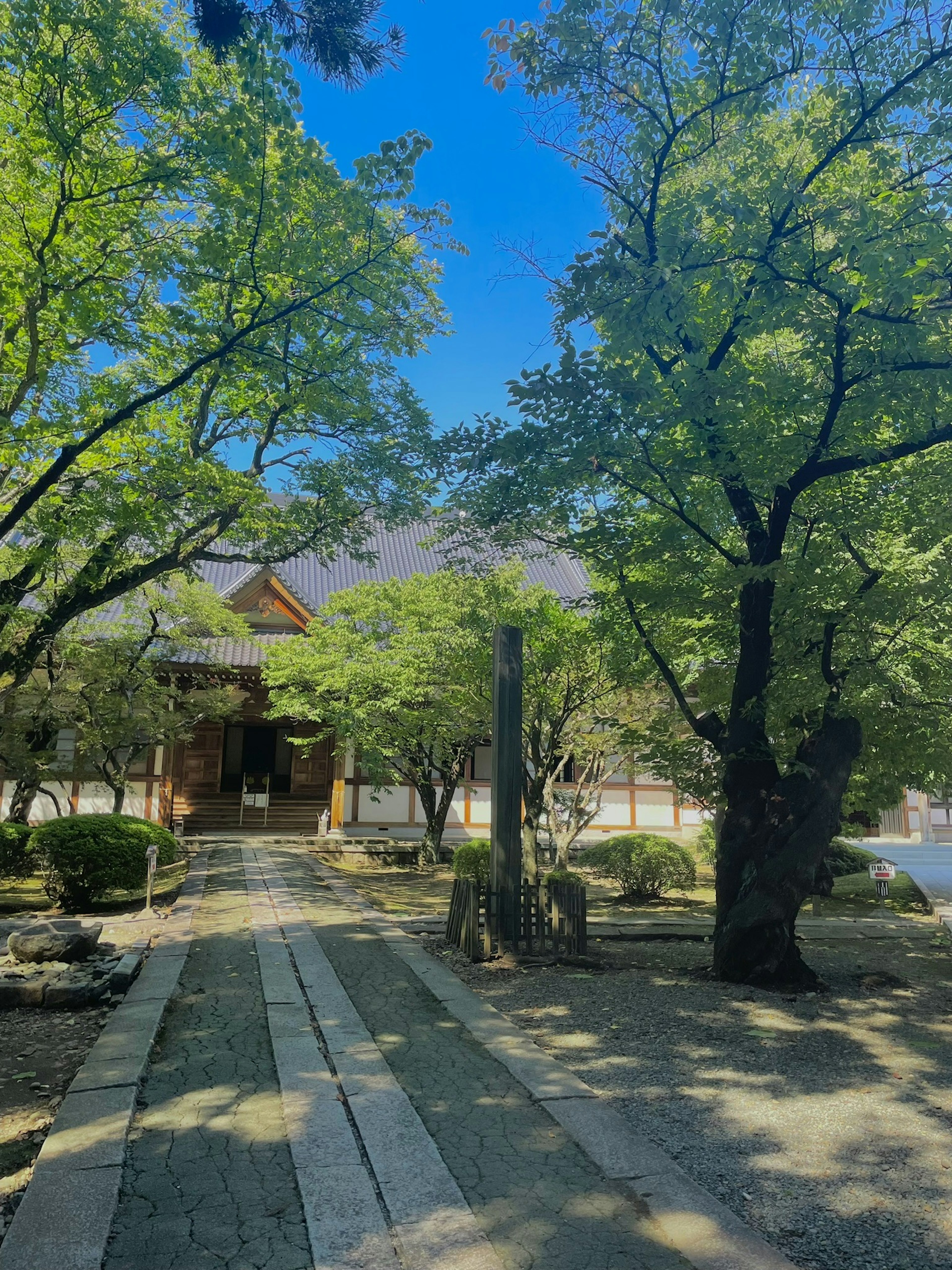 A serene pathway leading to a shrine surrounded by lush green trees