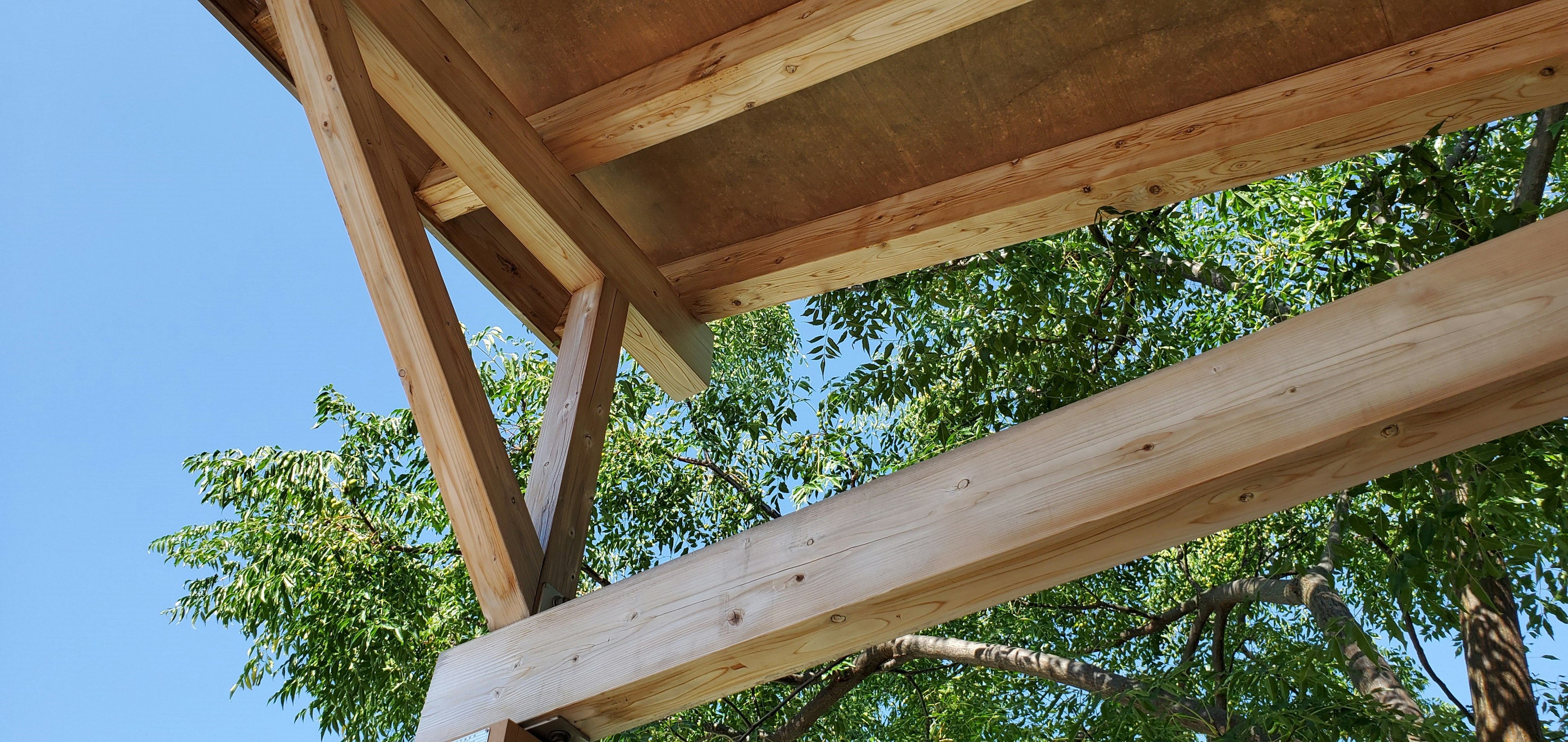 Wooden structure roof with blue sky