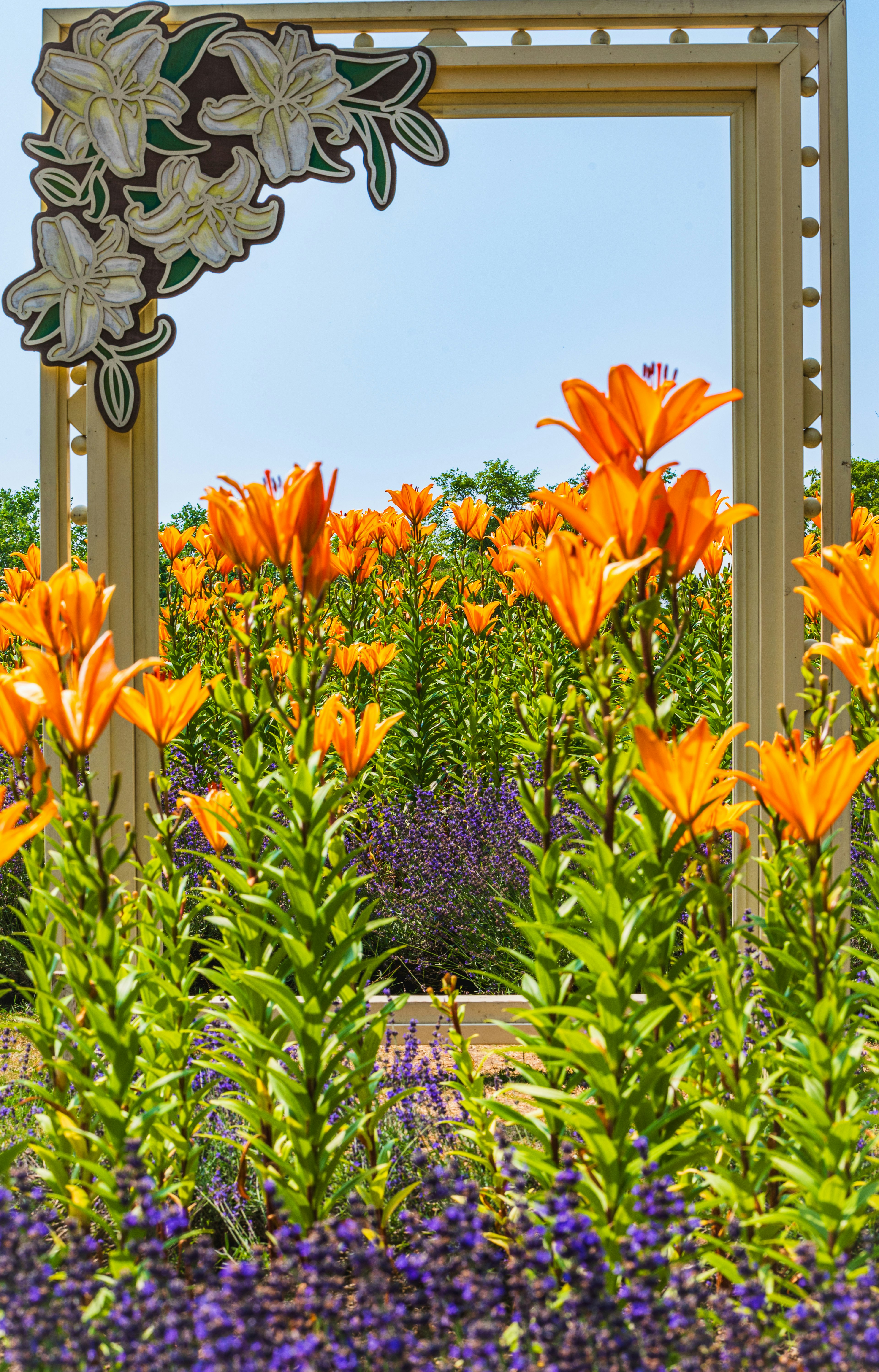 Bellissimo paesaggio con fiori e una cornice con gigli arancioni e fiori viola