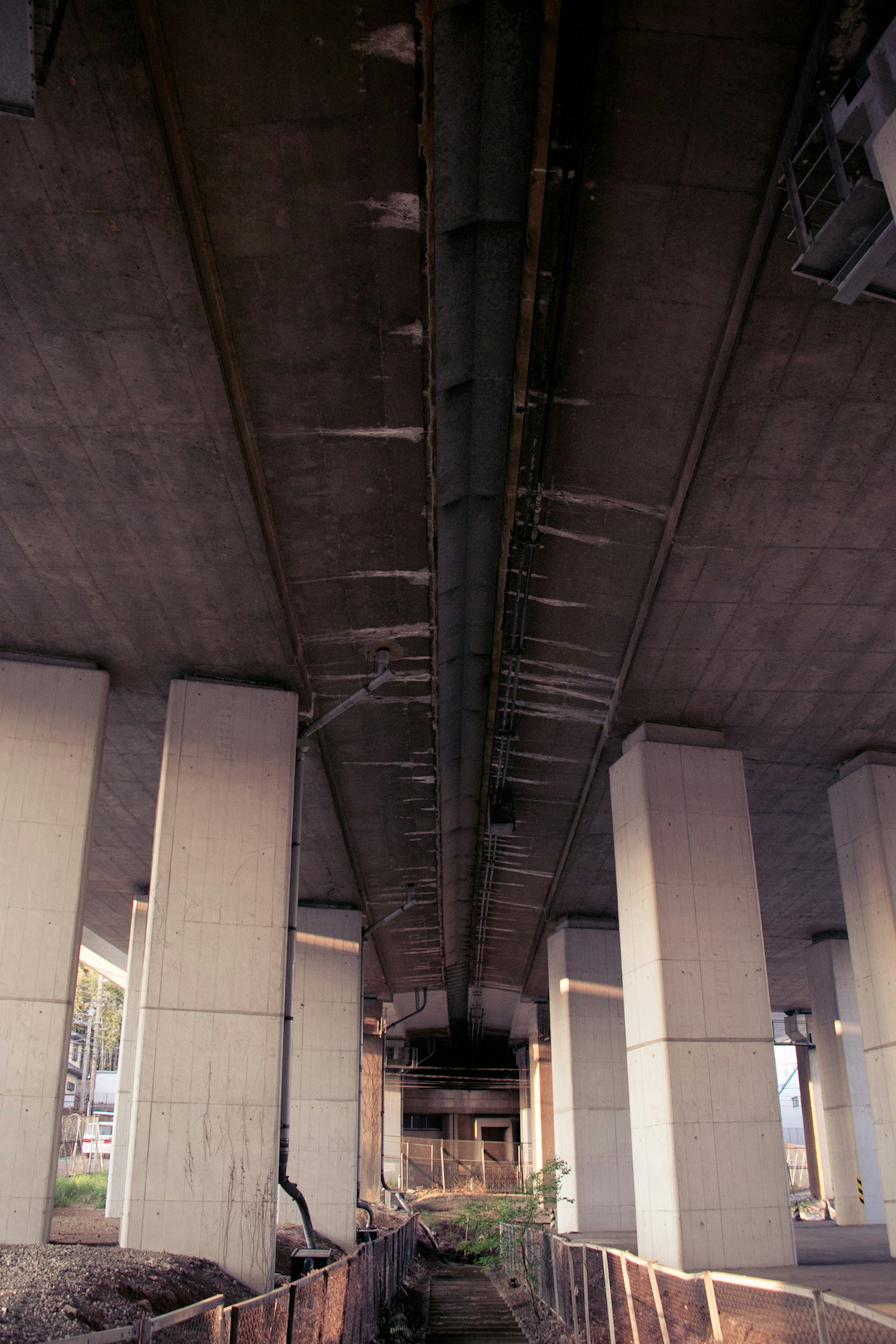 Underneath a concrete bridge showing structural elements and columns