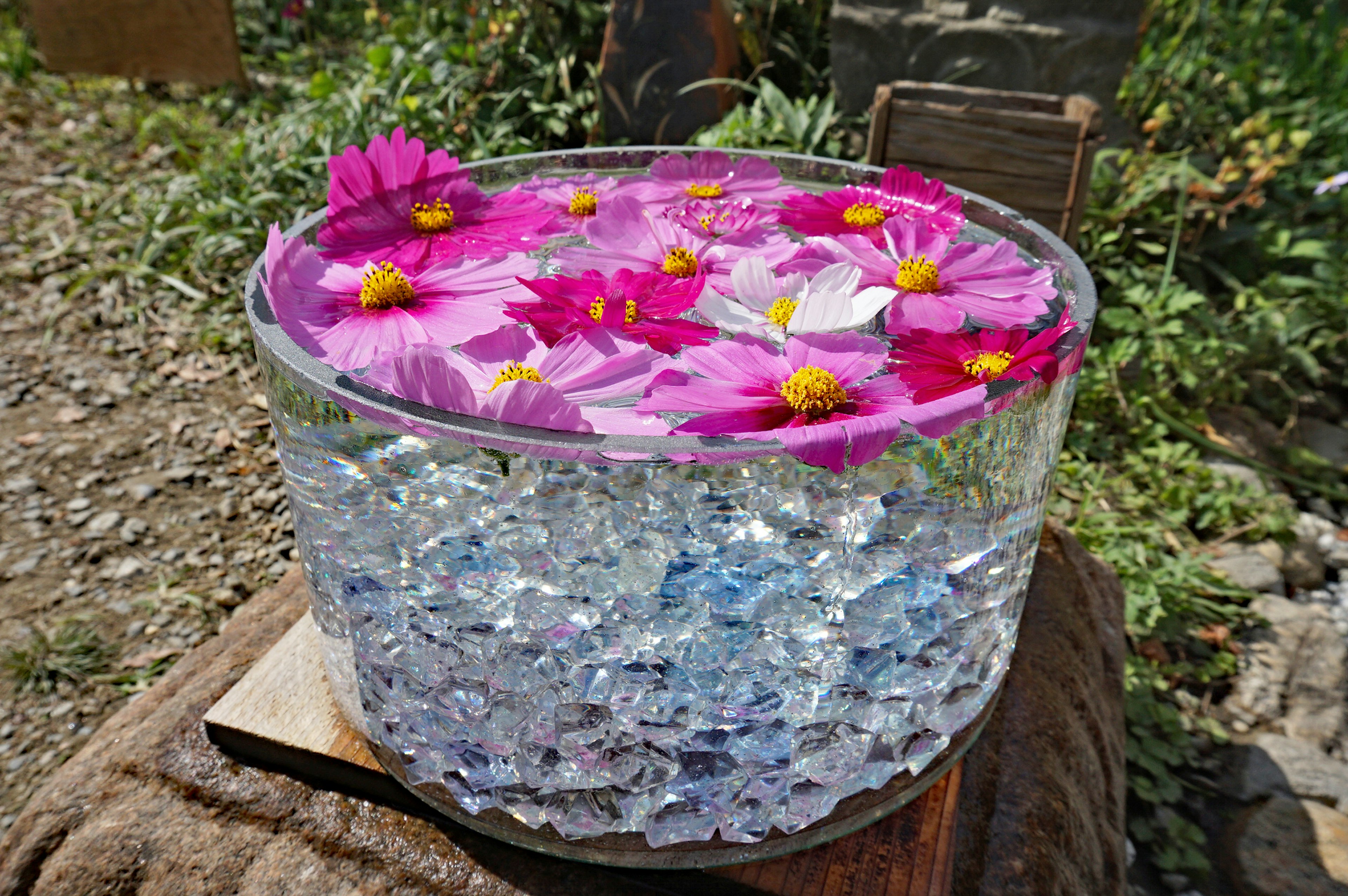 Transparenter Behälter gefüllt mit blauen Kristallen und schwimmenden rosa Blumen