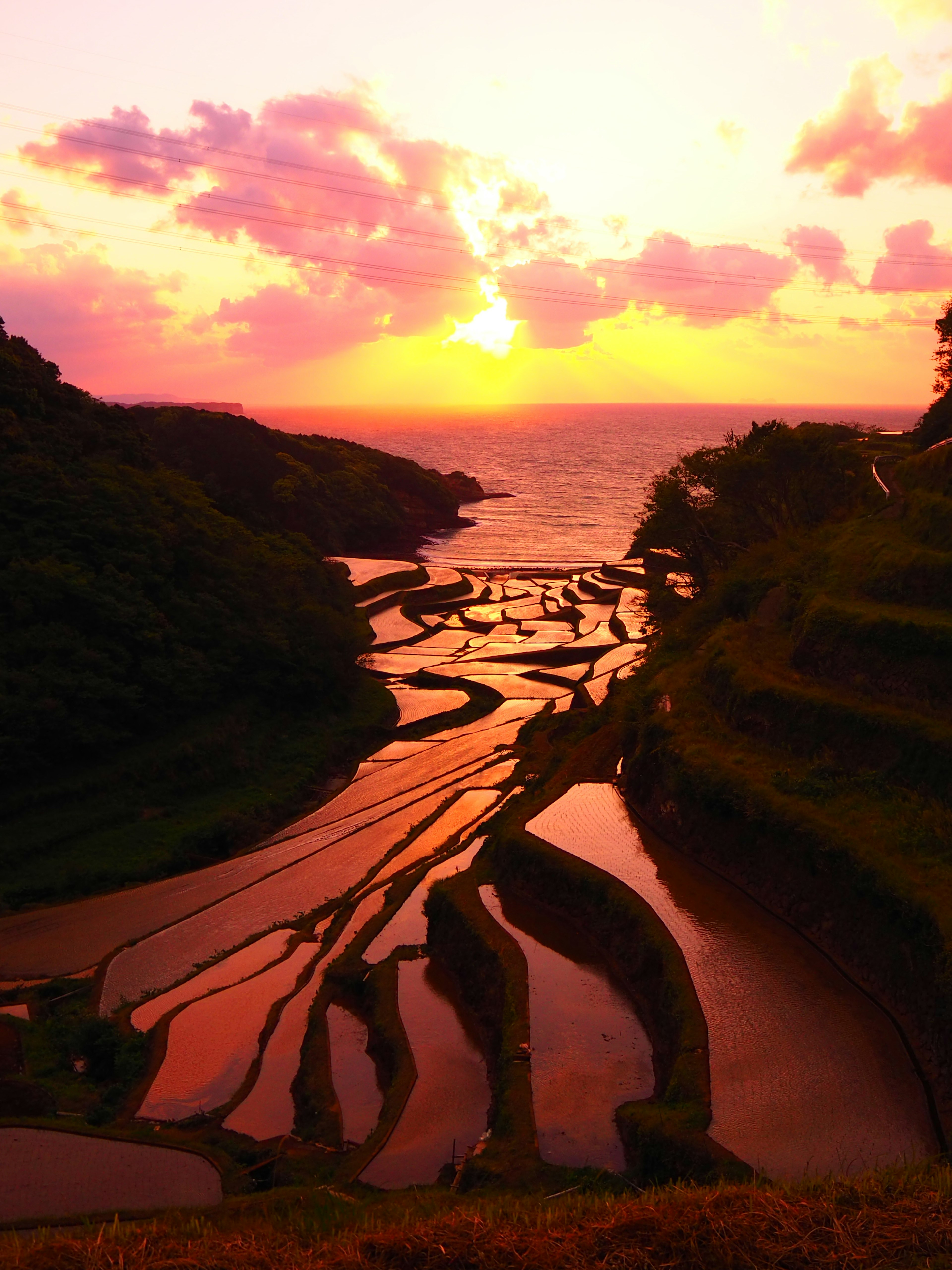 Escénicas terrazas de arroz reflejando un vibrante atardecer