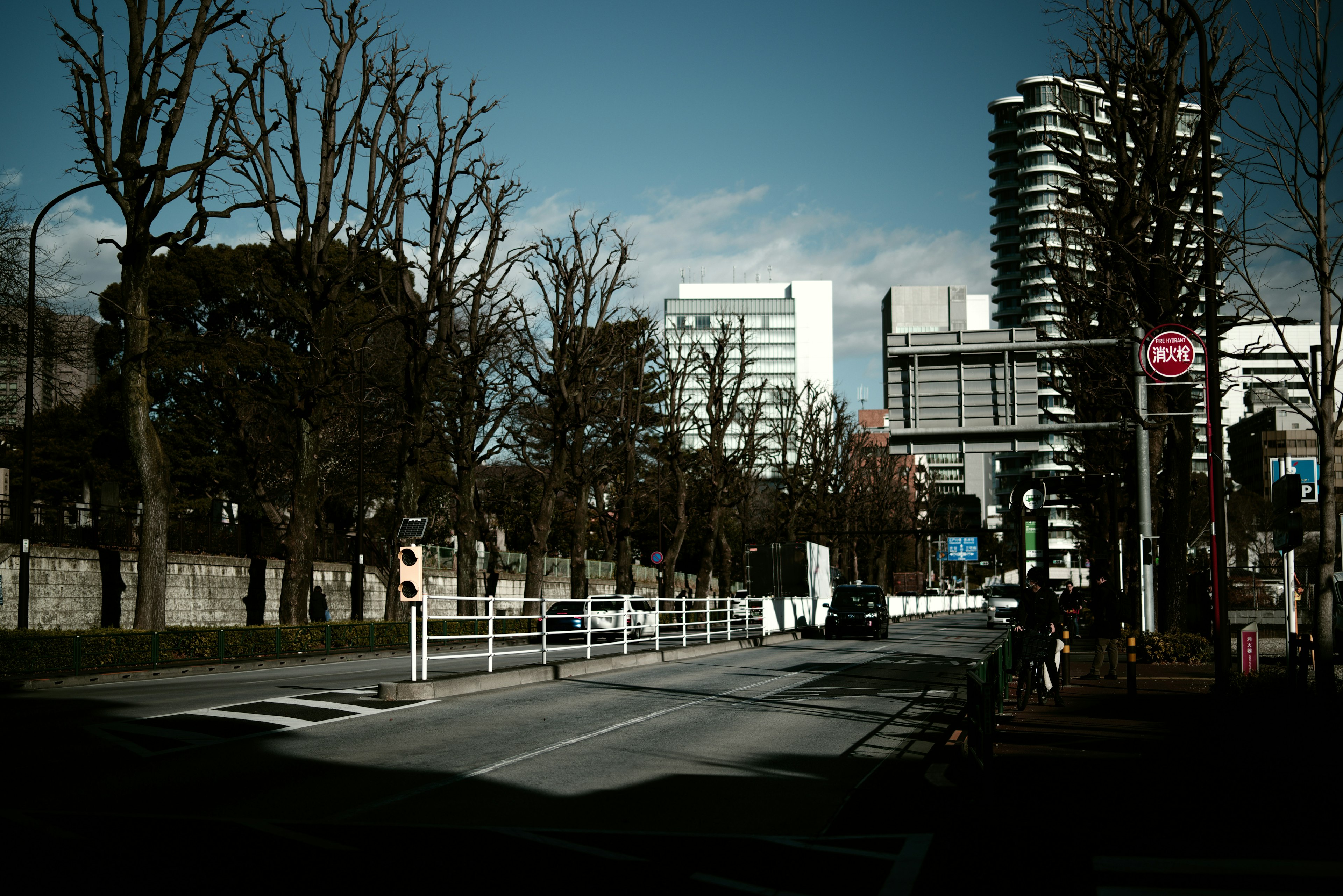 Paisaje urbano con árboles de invierno y altos edificios a lo largo de la calle