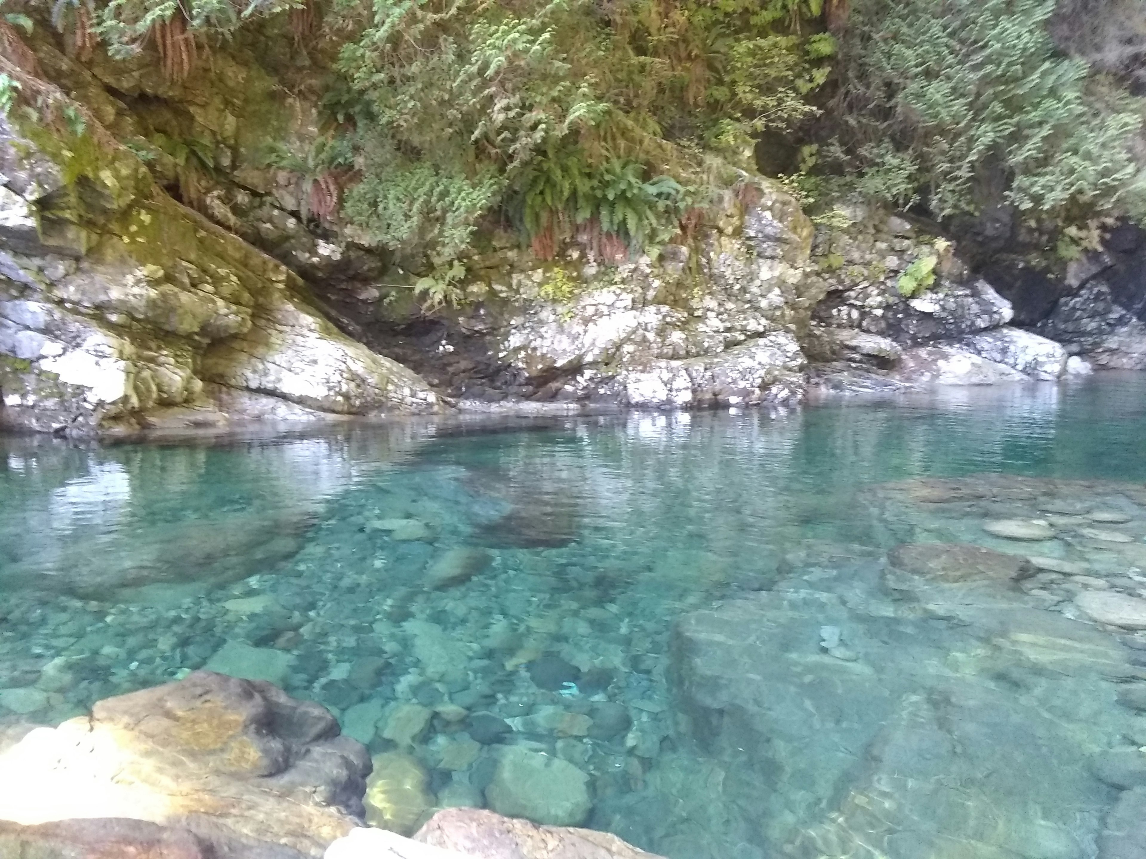 A serene pond surrounded by clear water and rocks