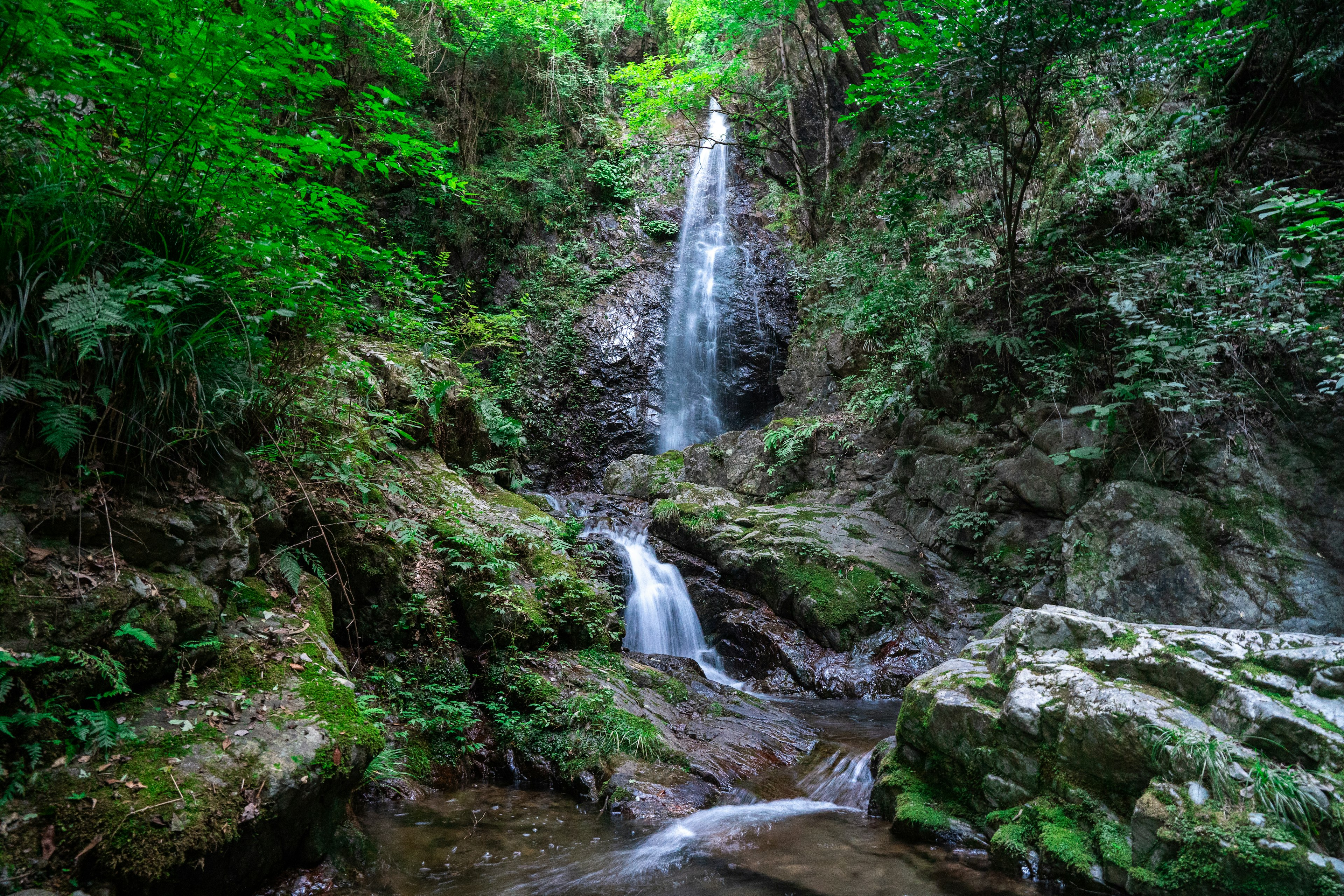 郁郁葱葱的森林中瀑布和溪流的美景