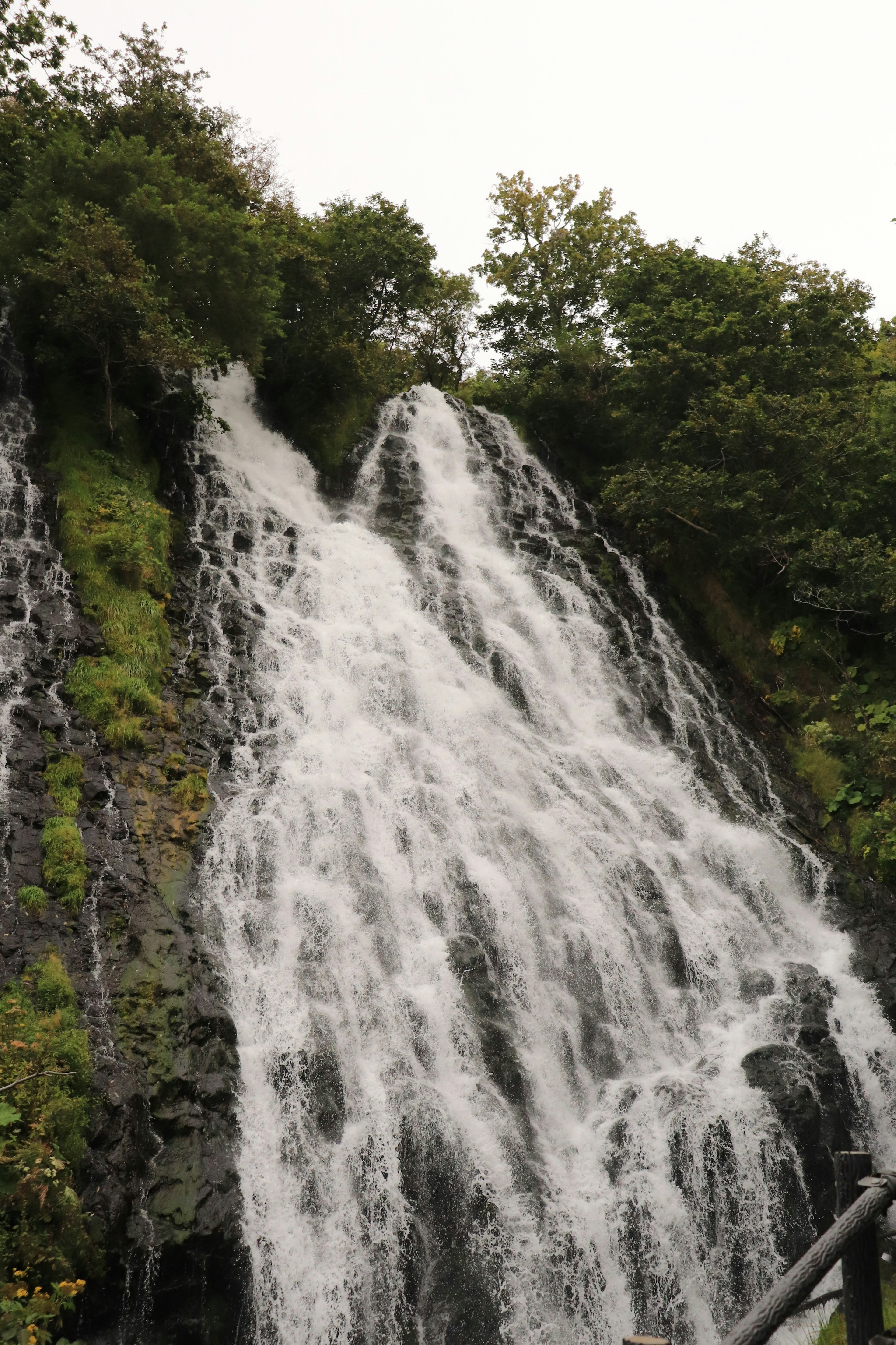 Sebuah air terjun yang indah mengalir di lanskap hijau yang subur