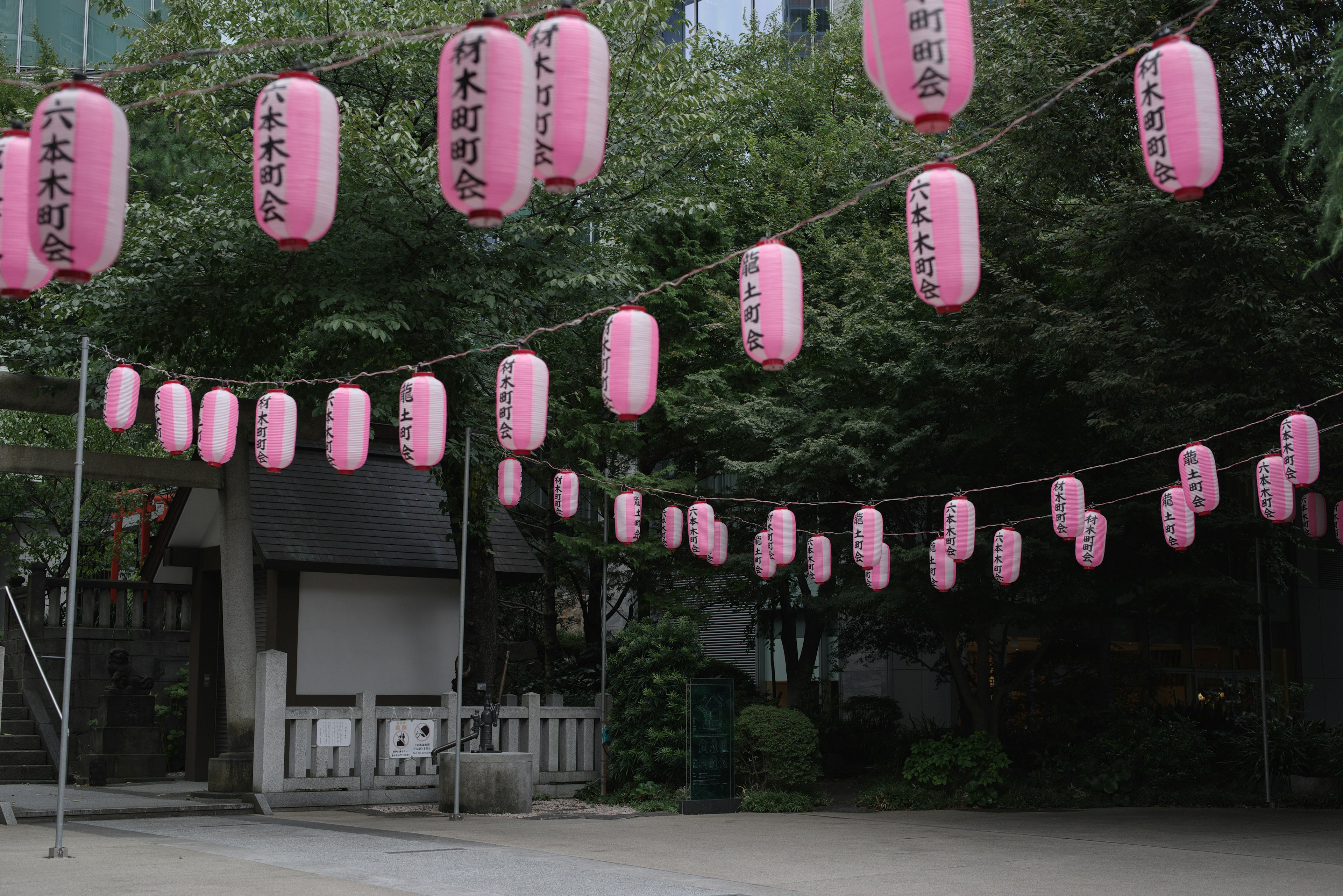 ピンクの提灯が並ぶ日本の庭園の風景