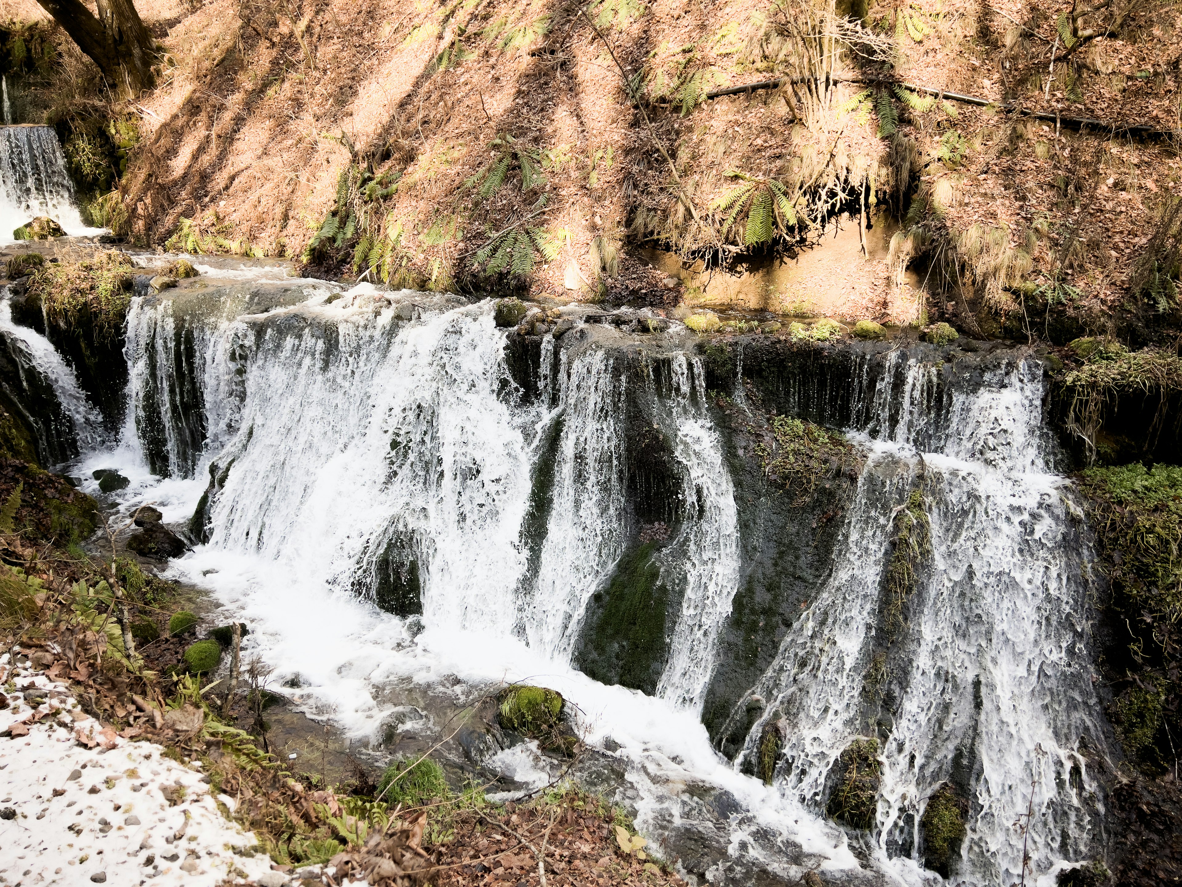 Aliran sungai dengan air terjun kecil dikelilingi rumput hijau