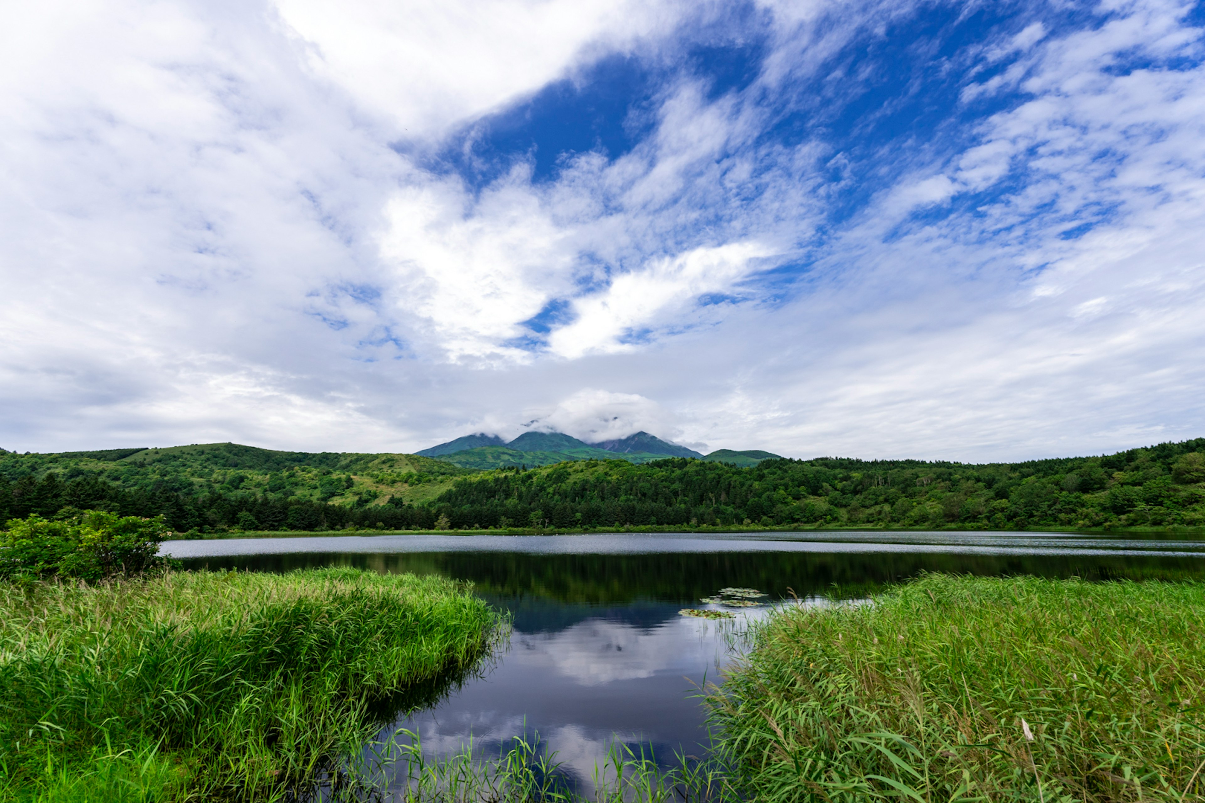 美しい湖と緑豊かな山々が映る風景