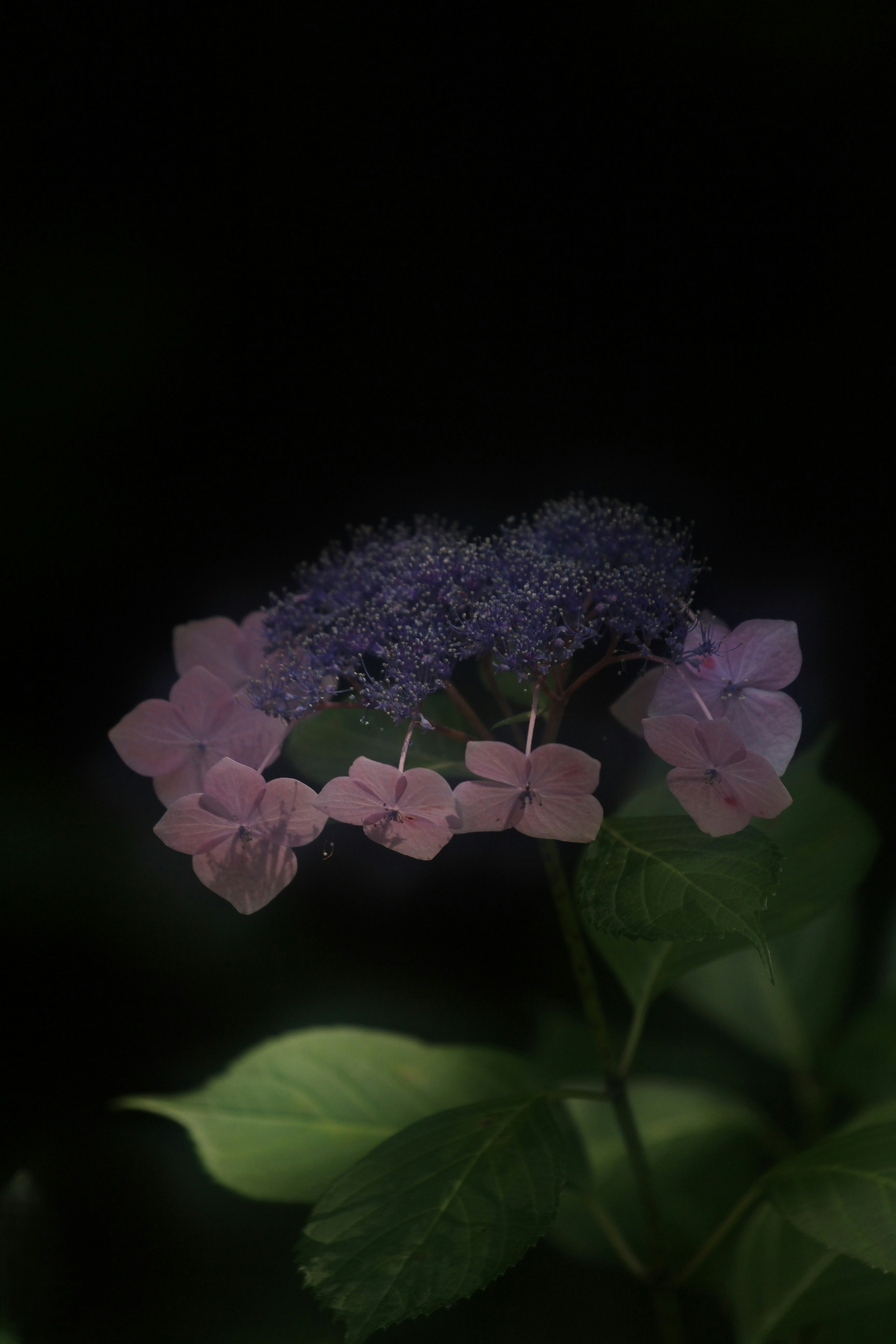 photo-kPQ7pBOHkYyuvoleP7st-image