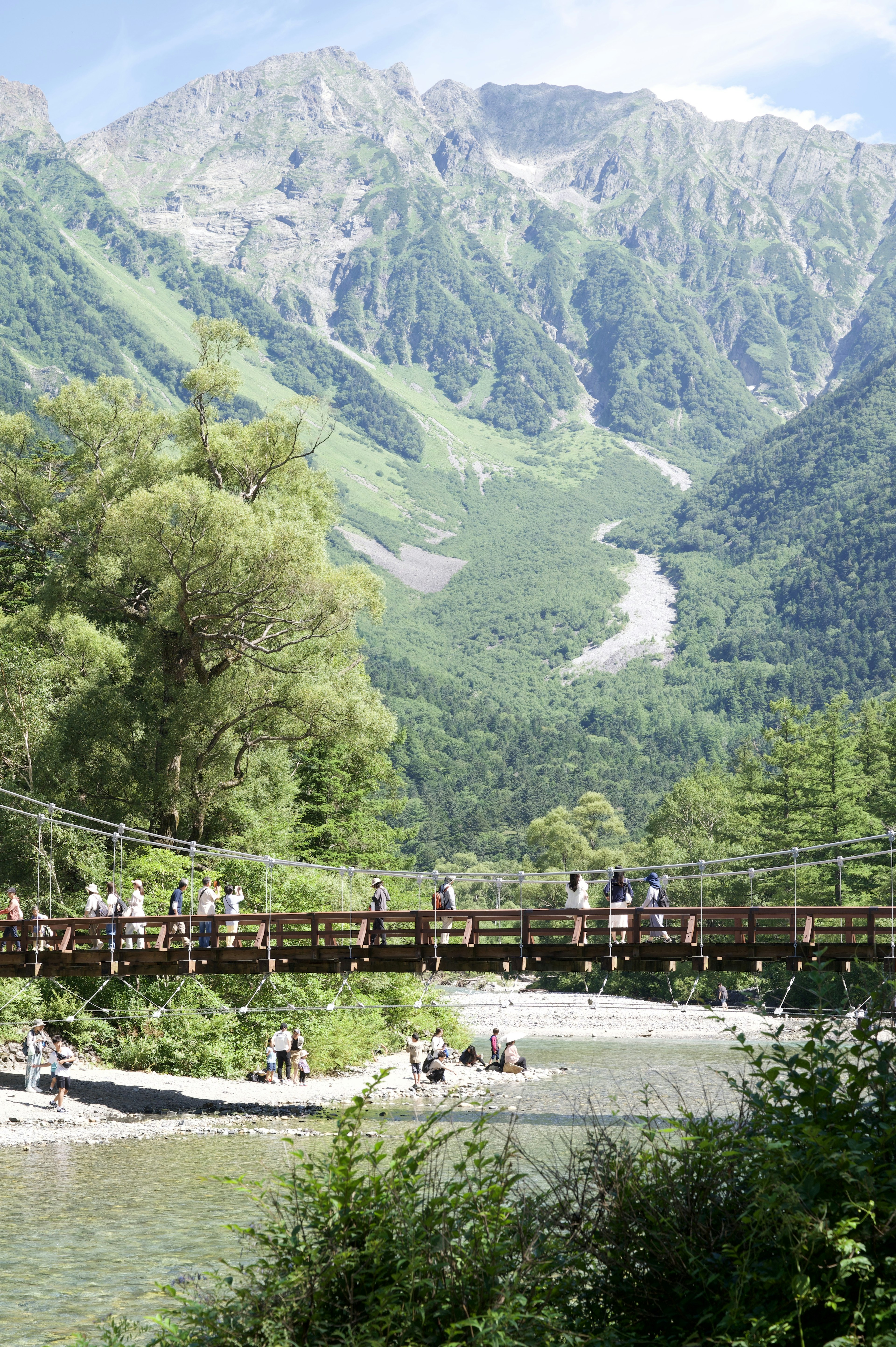 美しい山々と木製の吊り橋が見える風景