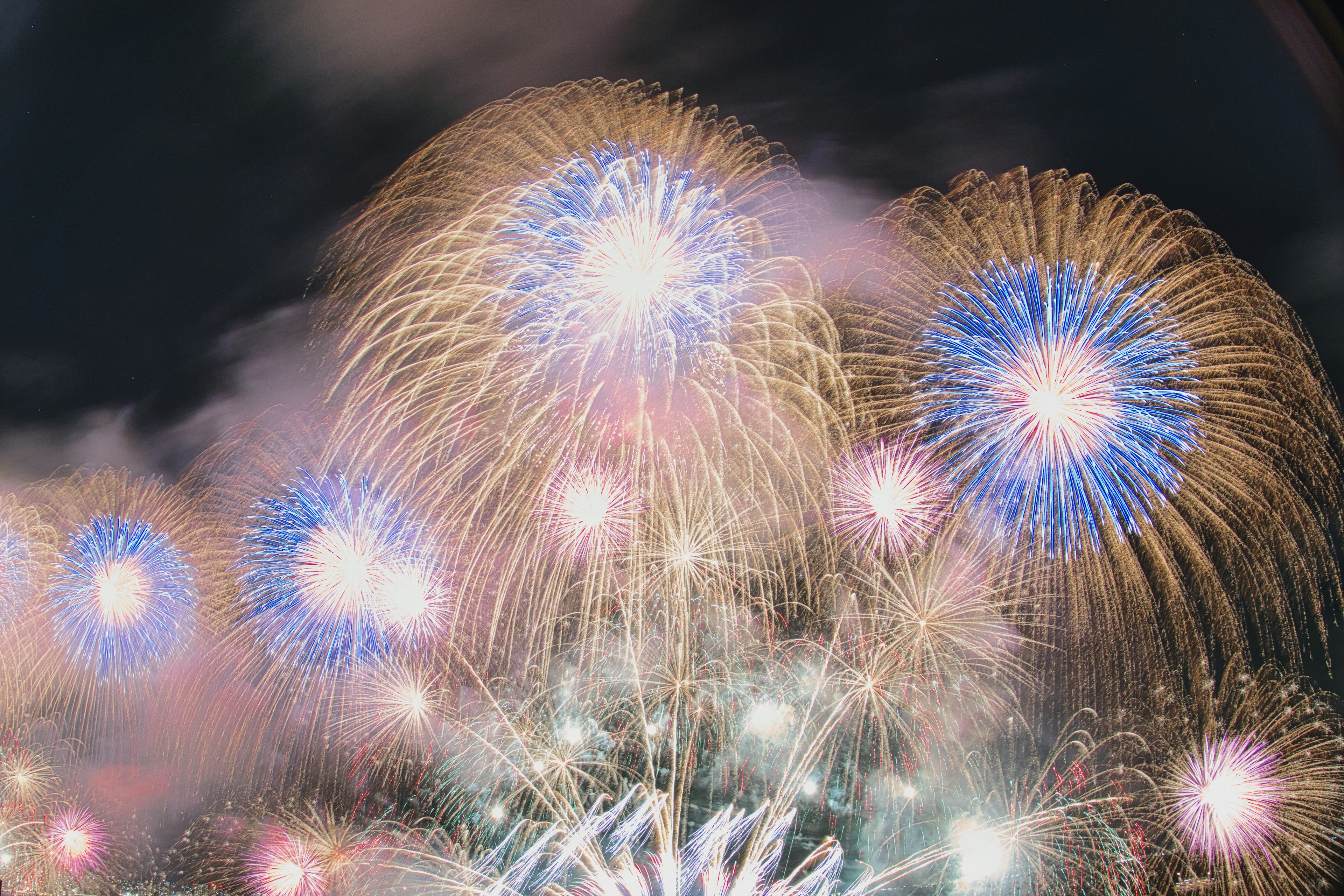 Spettacolo di fuochi d'artificio colorati che illumina il cielo notturno