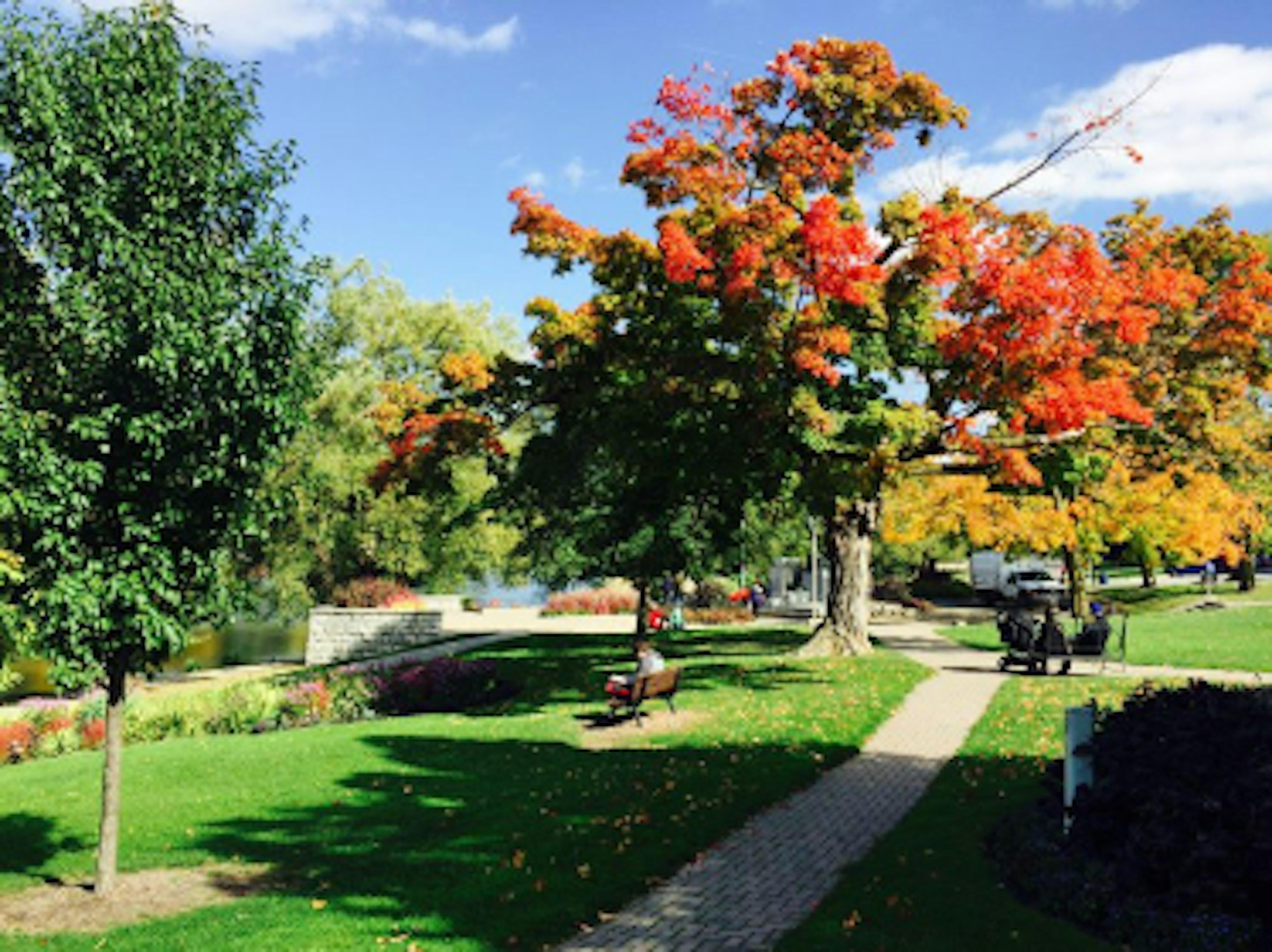 Autumn park scene with green grass colorful trees featuring red and orange leaves benches and a pathway under a blue sky