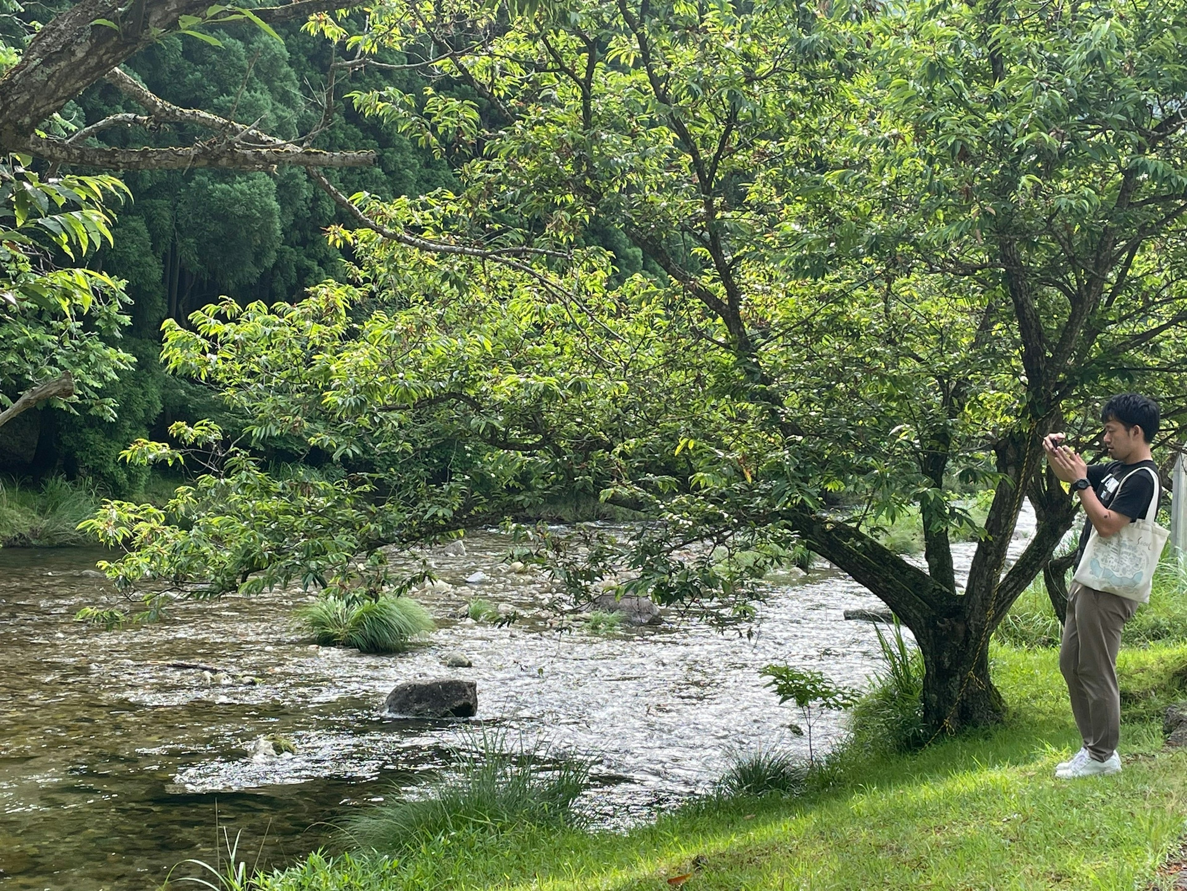 Une personne avec un appareil photo prenant des photos près d'un arbre vert au bord d'une rivière