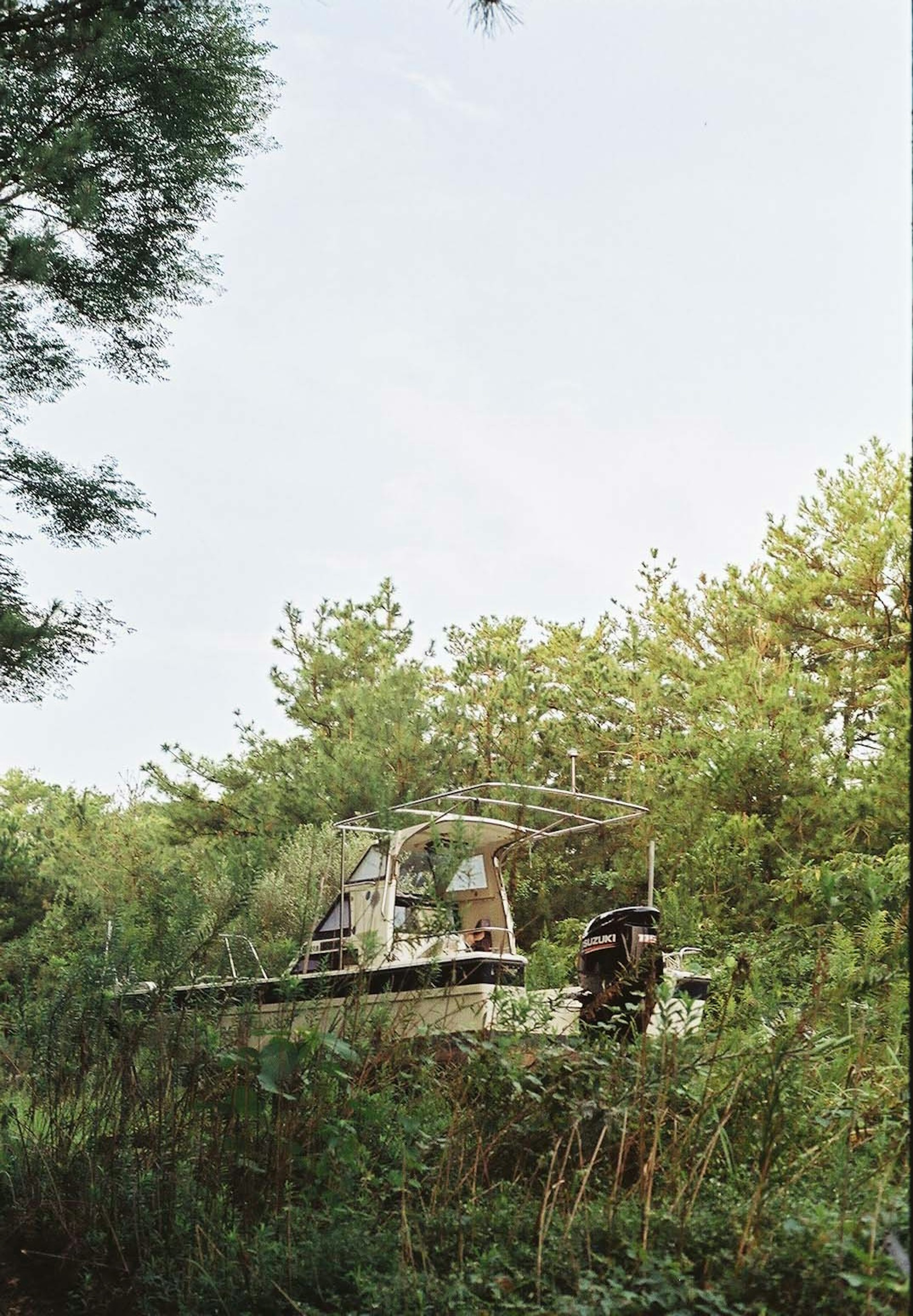 Un petit bateau visible parmi la verdure dans une zone forestière