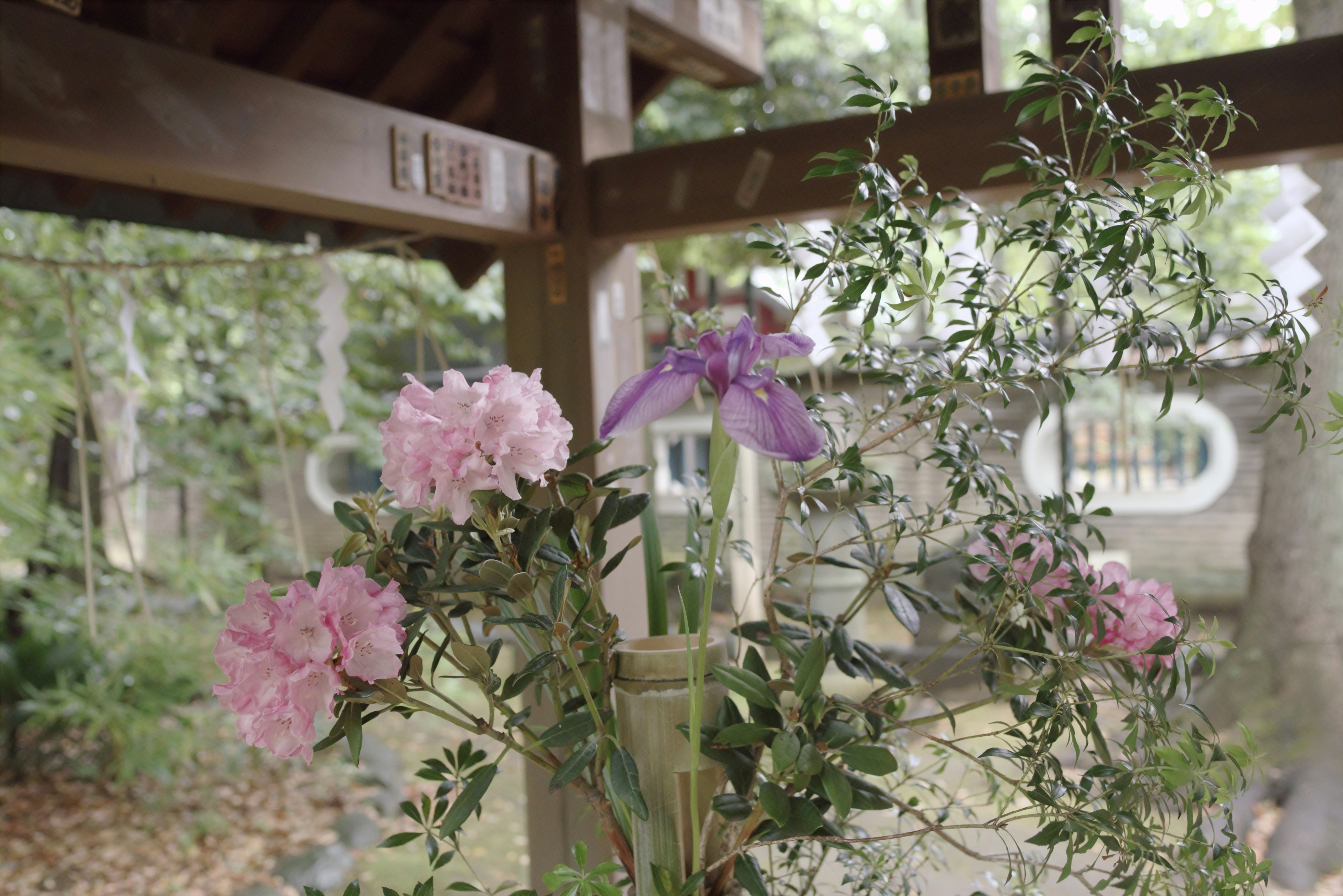 Una escena de jardín con flores en flor y un pabellón de madera